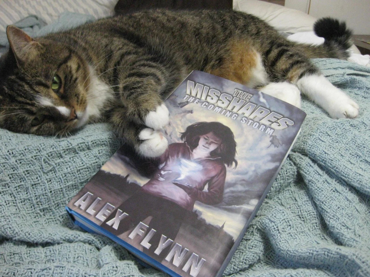 Today’s a really special and exciting day. The Misshapes is now available in hardcover! My cat is celebrating! It’s been a long journey for these little superheroes-that-could, and I’d be honored if you got the chance to read it. If you feel like requesting it from your local library that would be the biggest honor of all! It should be available at your finer booksellers; if not, you can order it. Here’s the online details so you could have it right this second!
You can order THE MISSHAPES: The Coming Storm in hardcover
Barnes & Noble: http://www.barnesandnoble.com/w/the-misshapes-a…/1118590464… Amazon: http://www.amazon.com/The-Misshapes-Alex-Flynn/dp/1940610311 Indiebound: http://www.indiebound.org/book/9781940610313
As well as eBook Kindle: http://www.amazon.com/Misshapes-Ale…/…/ref=tmm_kin_swatch_0… Nook: http://www.barnesandnoble.com/w/the-misshapes-a…/1118590464… iBooks: https://itunes.apple.com/us/book/the-misshapes/id800927901… Kobo: http://store.kobobooks.com/en-US/ebook/the-misshapes-1 Google Play: https://play.google.com/…/books/d…/Alex_Flynn_The_Misshapes…