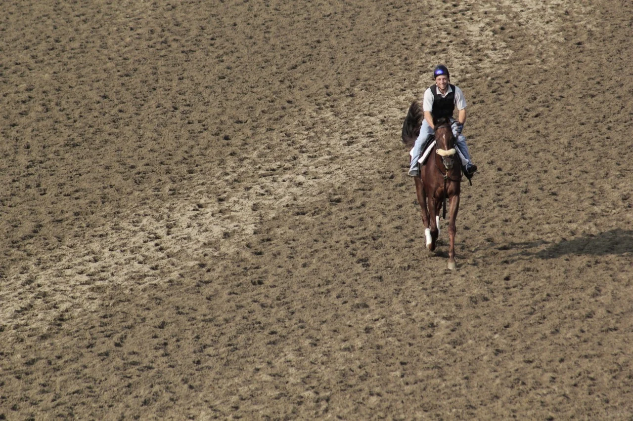 I wrote about my day at the Saratoga Springs Race Track for Grantland . I gambled and lost, but ended up with a burger from Shake Shack, so it was pretty perfect. (Photo by Stu Sherman )