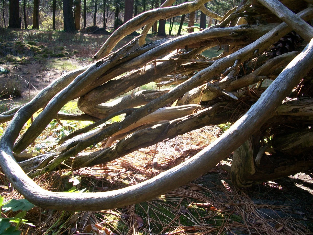 At Yaddo. This quasi wood-sculpture thing. Happy weekend! Memo to Matthew Gallaway: I realized your name was in my head, because I was rereading a thing I’m writing and I realized a quick blink and you’ll miss it mention of a lady is named Mrs. Galloway. I think I named her after you and your mellifluous last name. Or your last name crossed with Dalloway. :) Anyways, cheers!