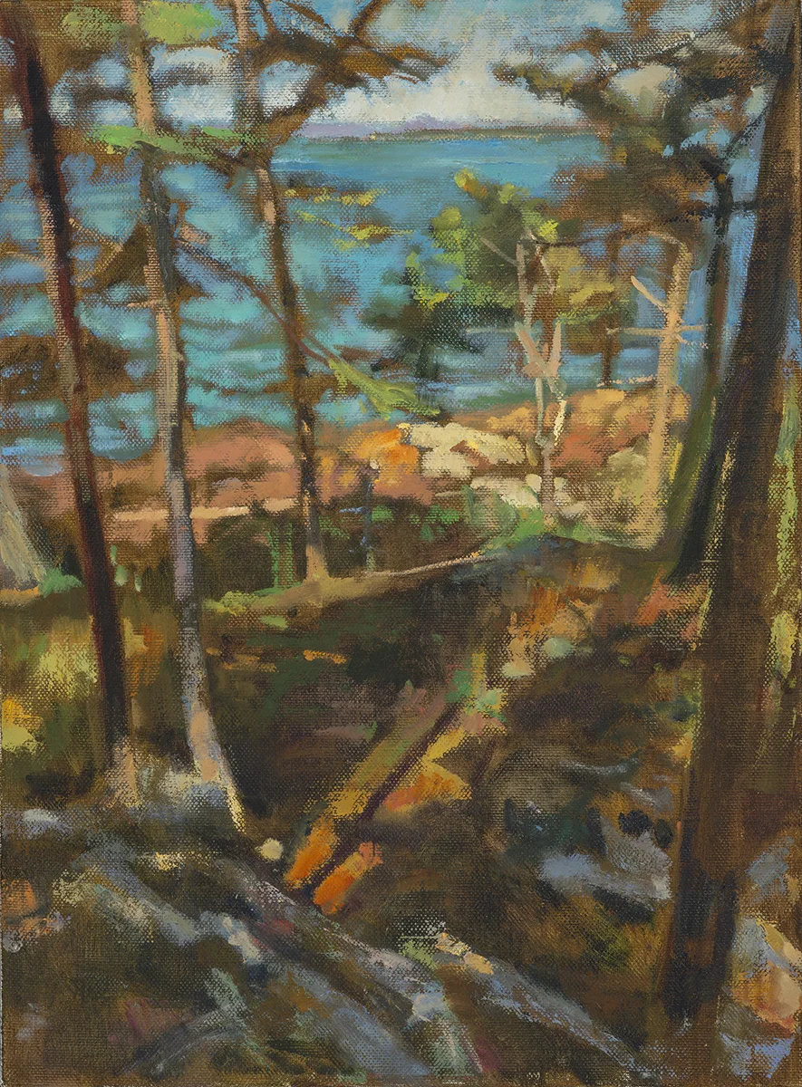 Pine Shadows, Penobscot Bay, Deer Isle