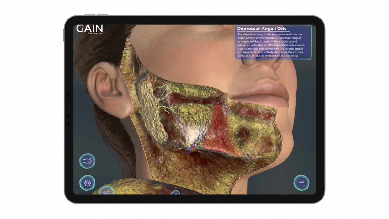 66d870061057f4d2e2428029_6-1-1240x698.png