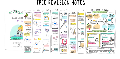 Revision Note Program Revision notes — Doctor Me Clever
