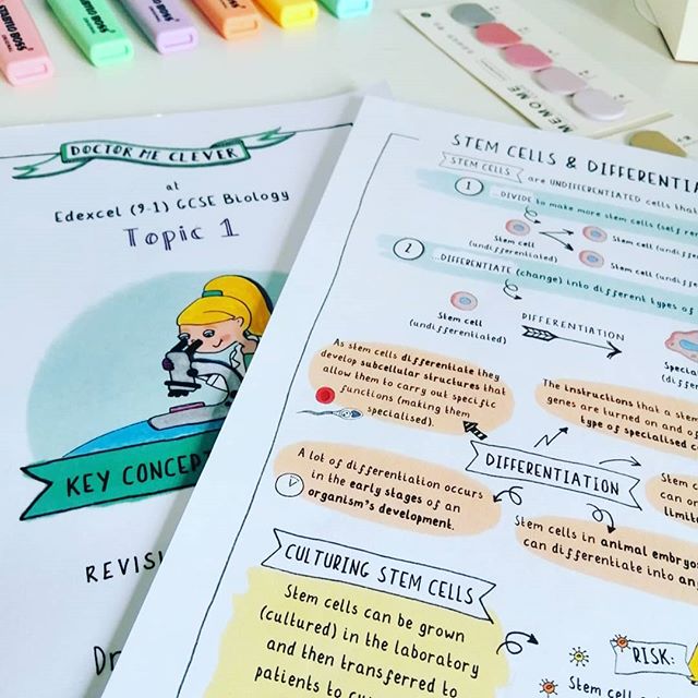 Sneak peek of the new stem cell notes that I've been working on. These will be part of the new AQA book . Fingers crossed for releasing it before baby arrives in October!⁠
⁠
----------------------------------⁠
⁠
Paperback book: www.amazon.co.uk/shop/