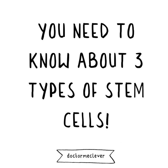 🧫🦴🌿 There are 3 types of stem cells that you need to know about for GCSE Biology: embryonic stem cells, adult stem cells and plant stem cells. ⁠🧫🦴🌿
⁠
⁠
#GCSE#GCSEs#GCSEBiology#GCSE2020#GCSEs2020#GCSEs2021#GCSEexams#Biologyteacher#Biologystudent