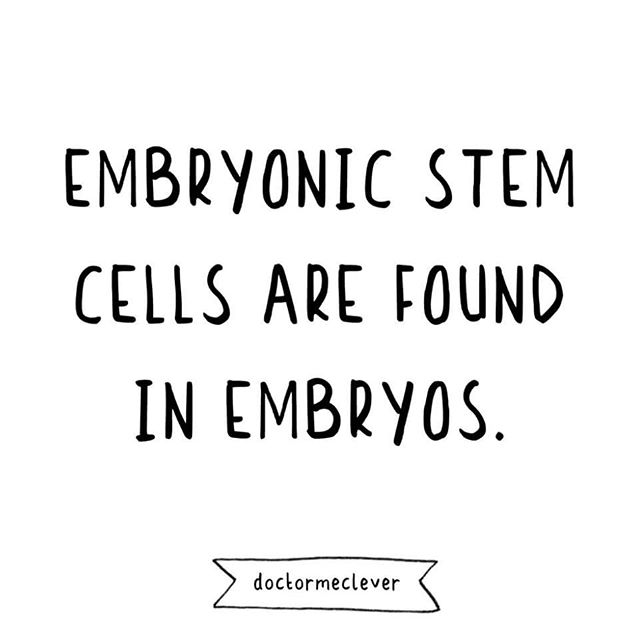 Just a quick reminder. Embryonic stem cells are found in embryos. Embryos are formed when a sperm cell fertilises an egg cell (ovum). Embryonic stem cells are very exciting for research and medicine because they have so much potential, they can diffe