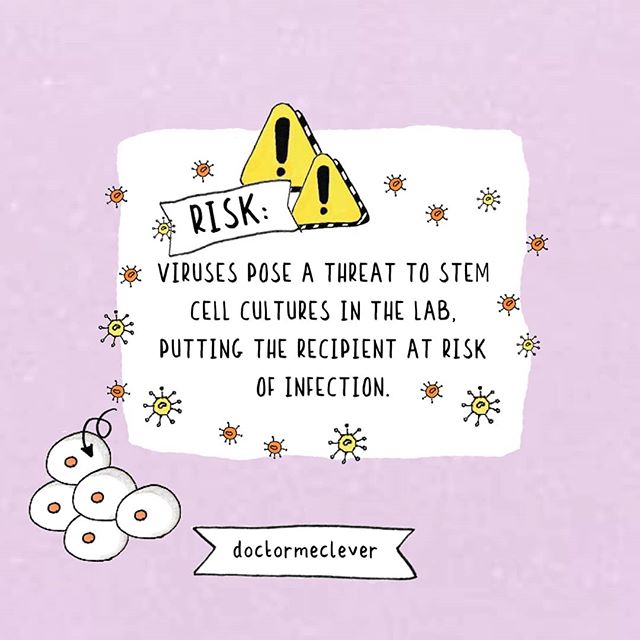 Viruses pose a threat to stem cell research and stem cell use in medicine. Stem cells that are grown in the lab are at risk of being or becoming infected by viruses. The virus could then be transferred, with the stem cells to the patient, risking inf