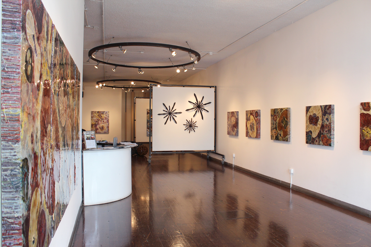 Space Gallery