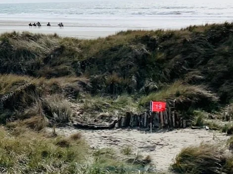 Random Dunes