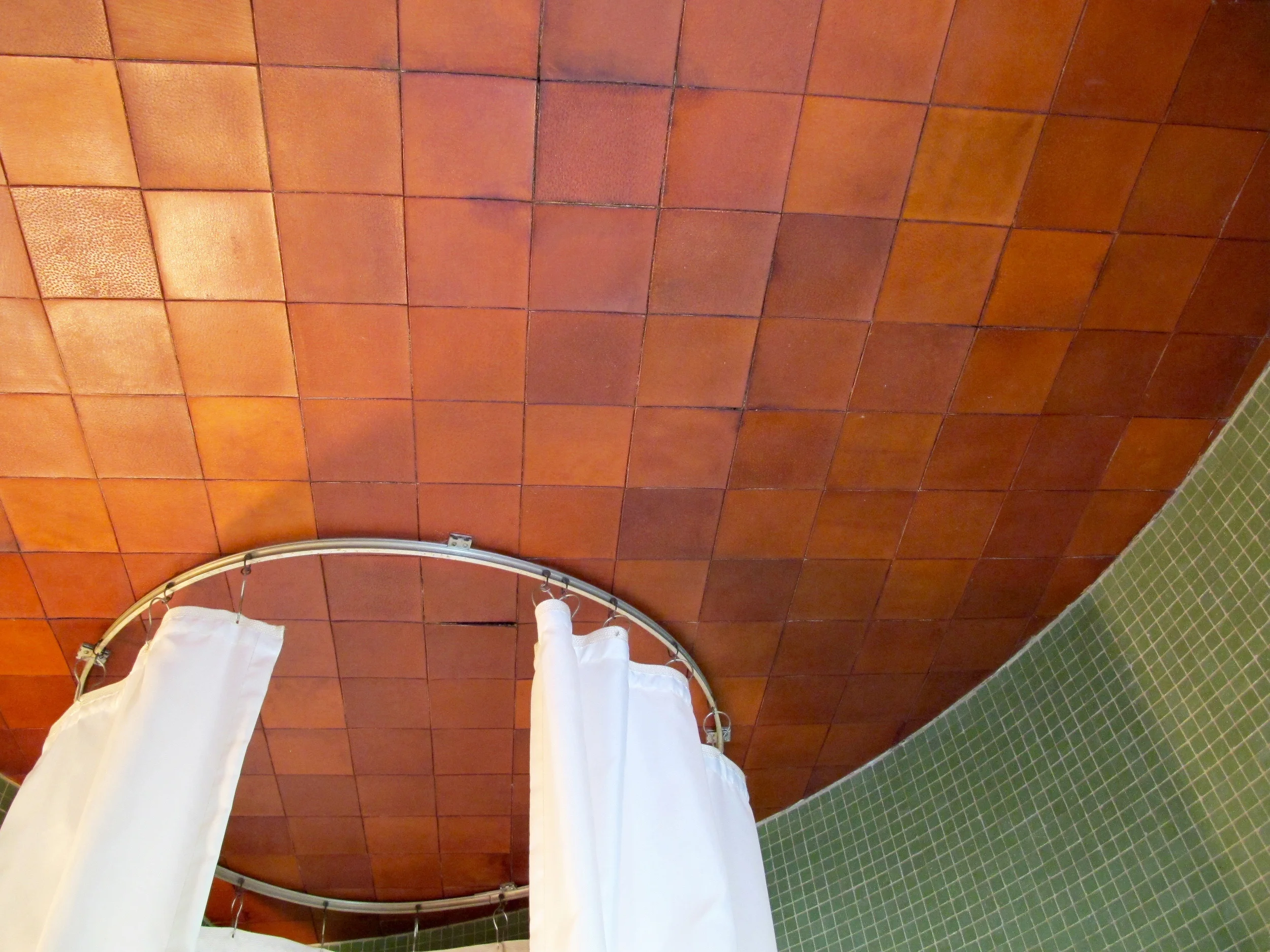 Shower: You are not seeing terra cotta tiles up on the ceiling. Those are panels of leather. I don't know why anyone thought that would be a good idea in a shower.