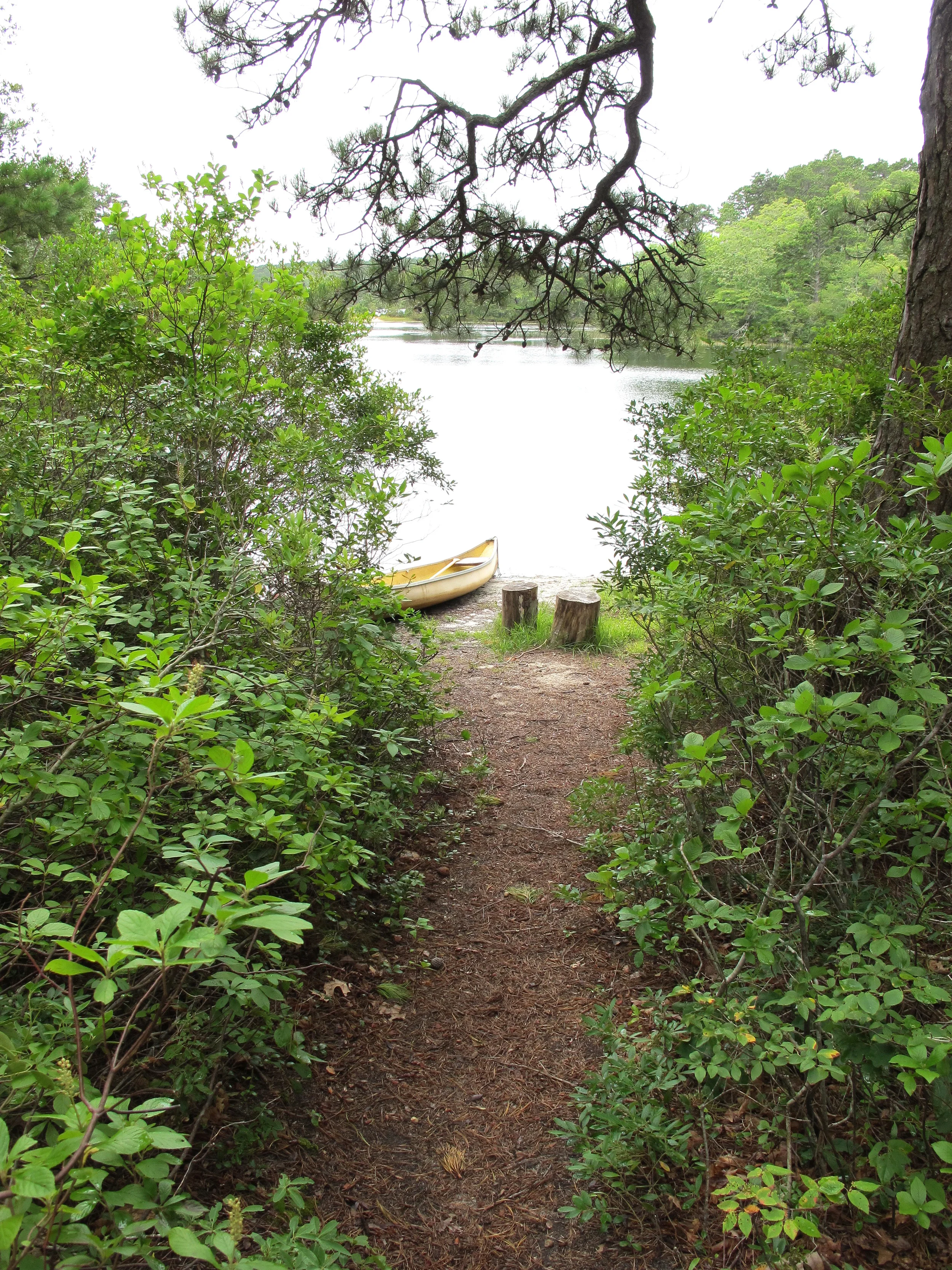 ourhaus_ccmht_kugelgips_path.jpg