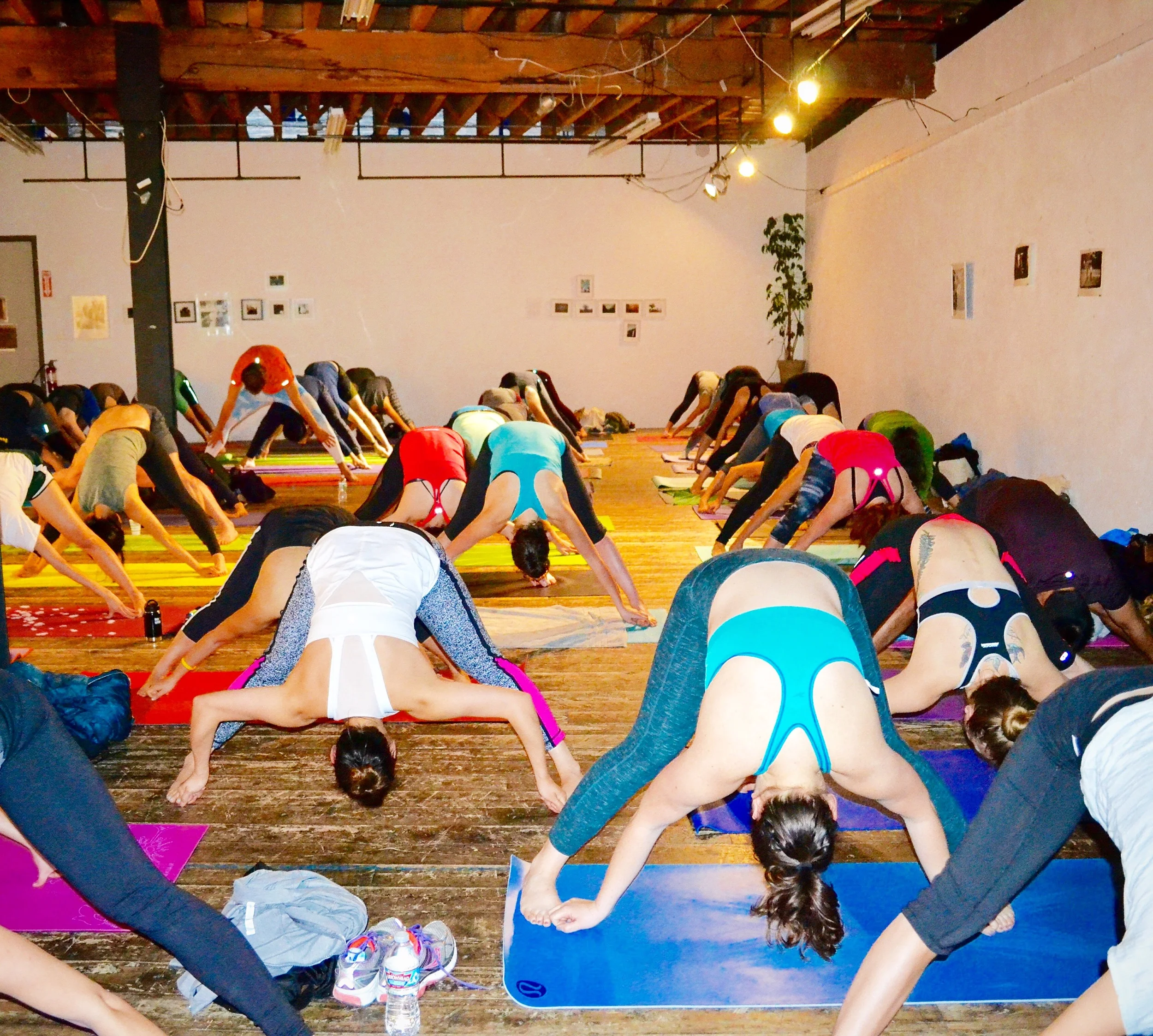 Prasarita Paddotonasana.JPG