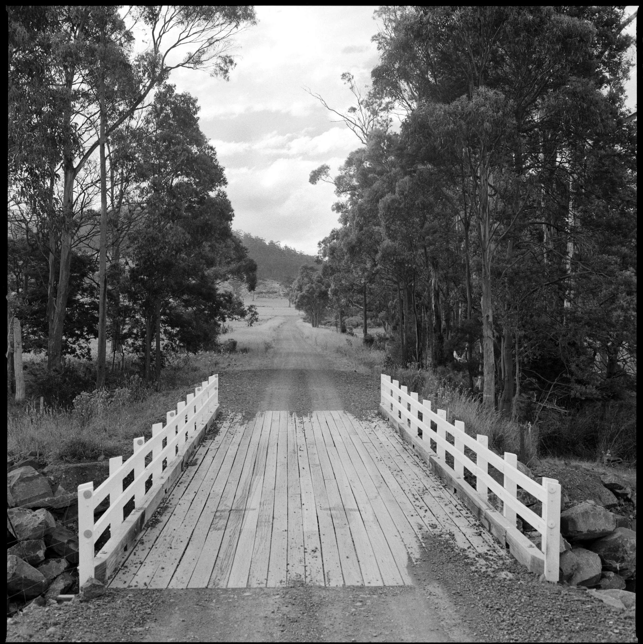 Tasmanian outback