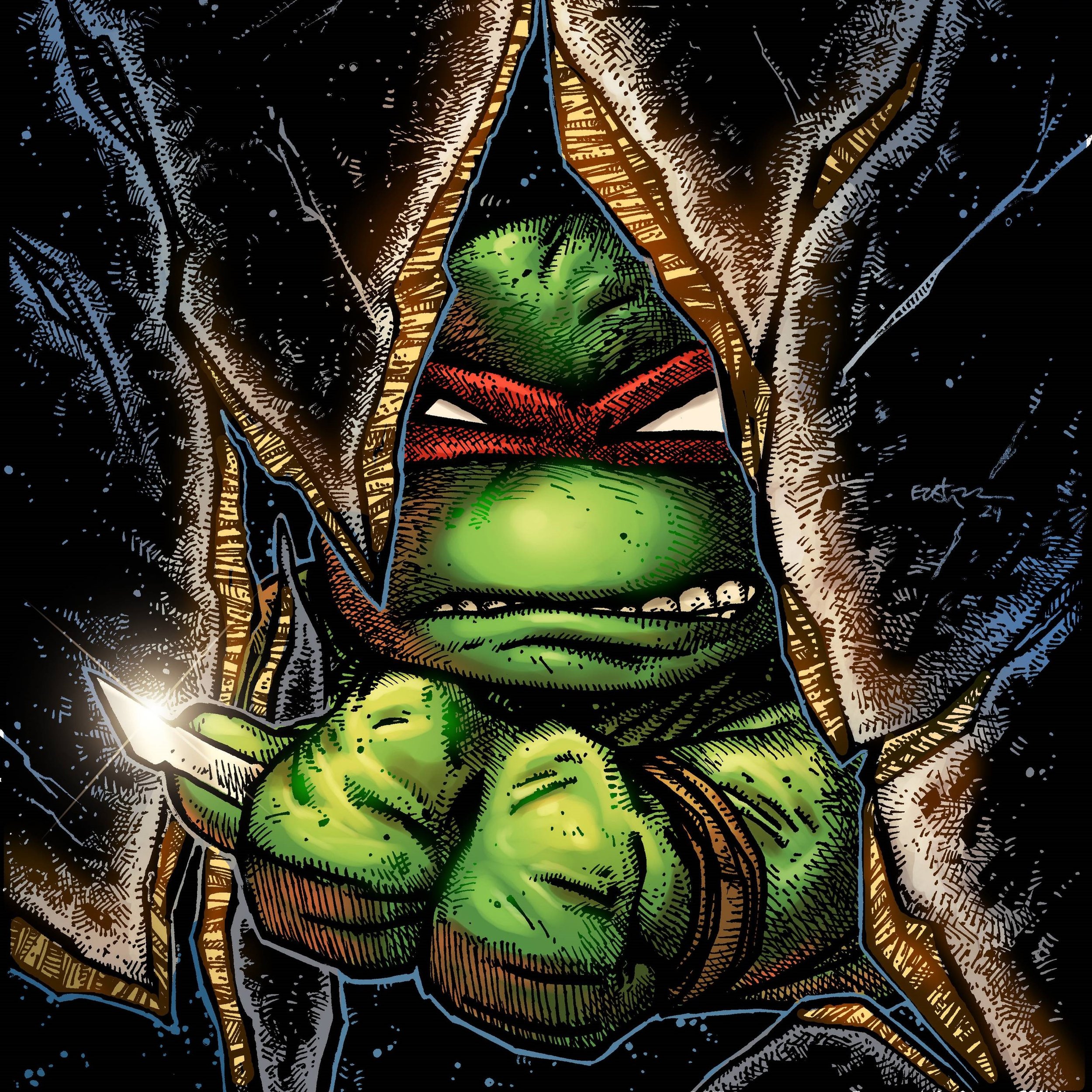 tmnt4.jpg