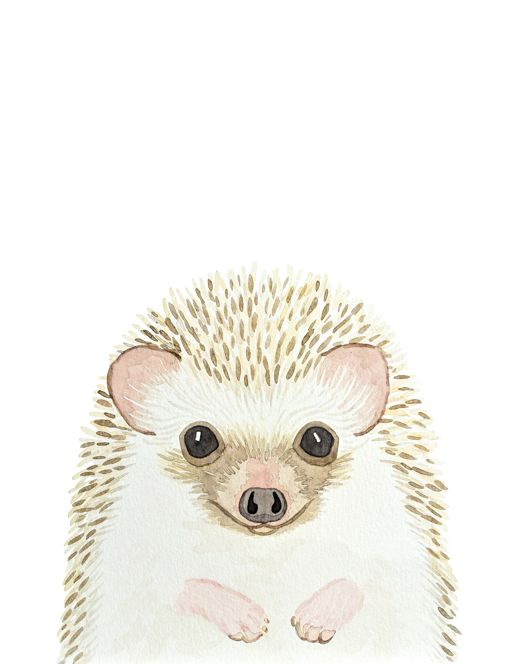 Hedgehog2 - small.jpg