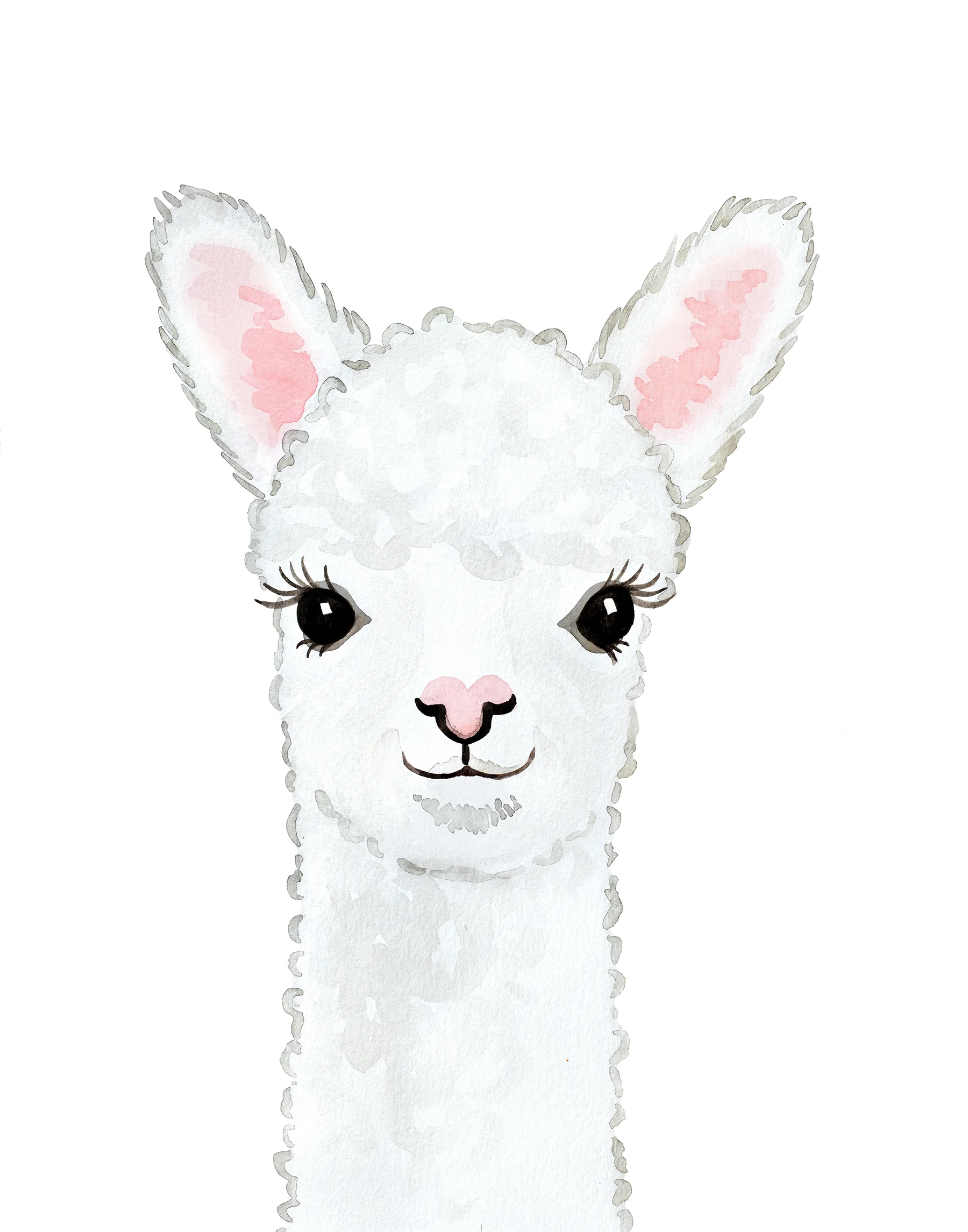 Alpaca3 - small.jpg