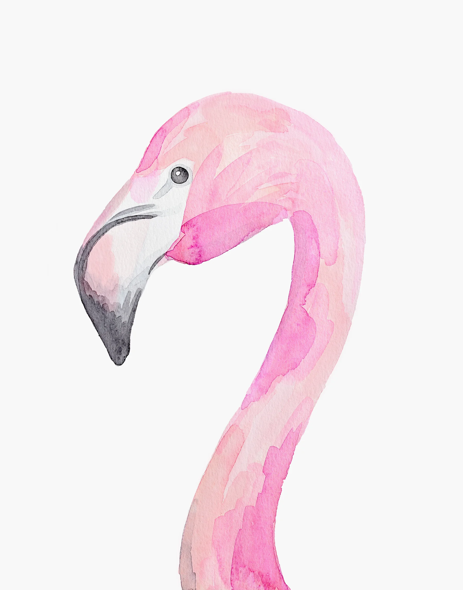 Flamingo - small.jpg