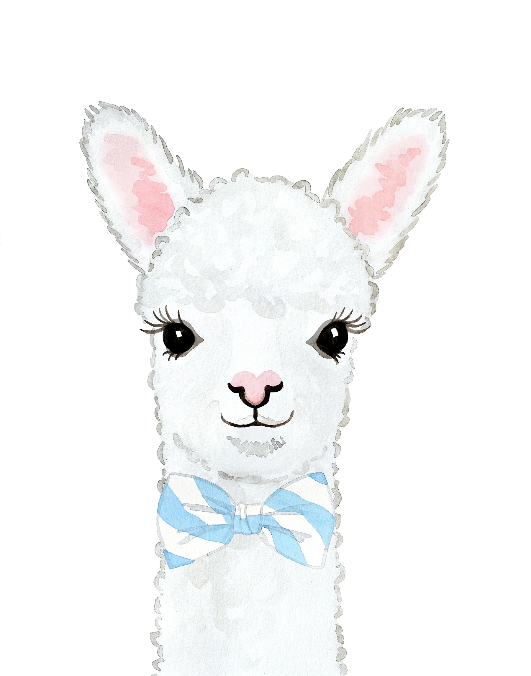 Alpaca3 - bowtie - small.jpg