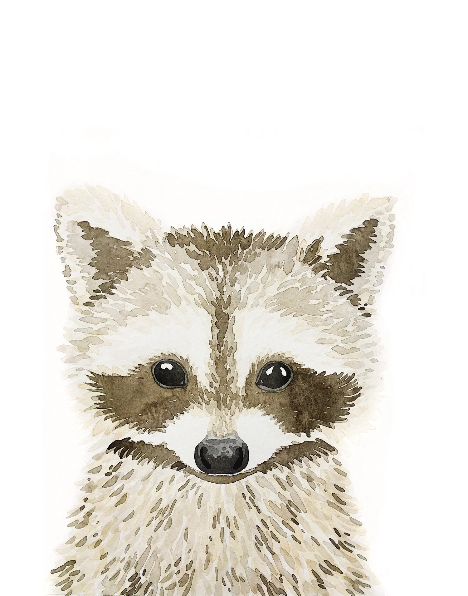Racoon - small.jpg