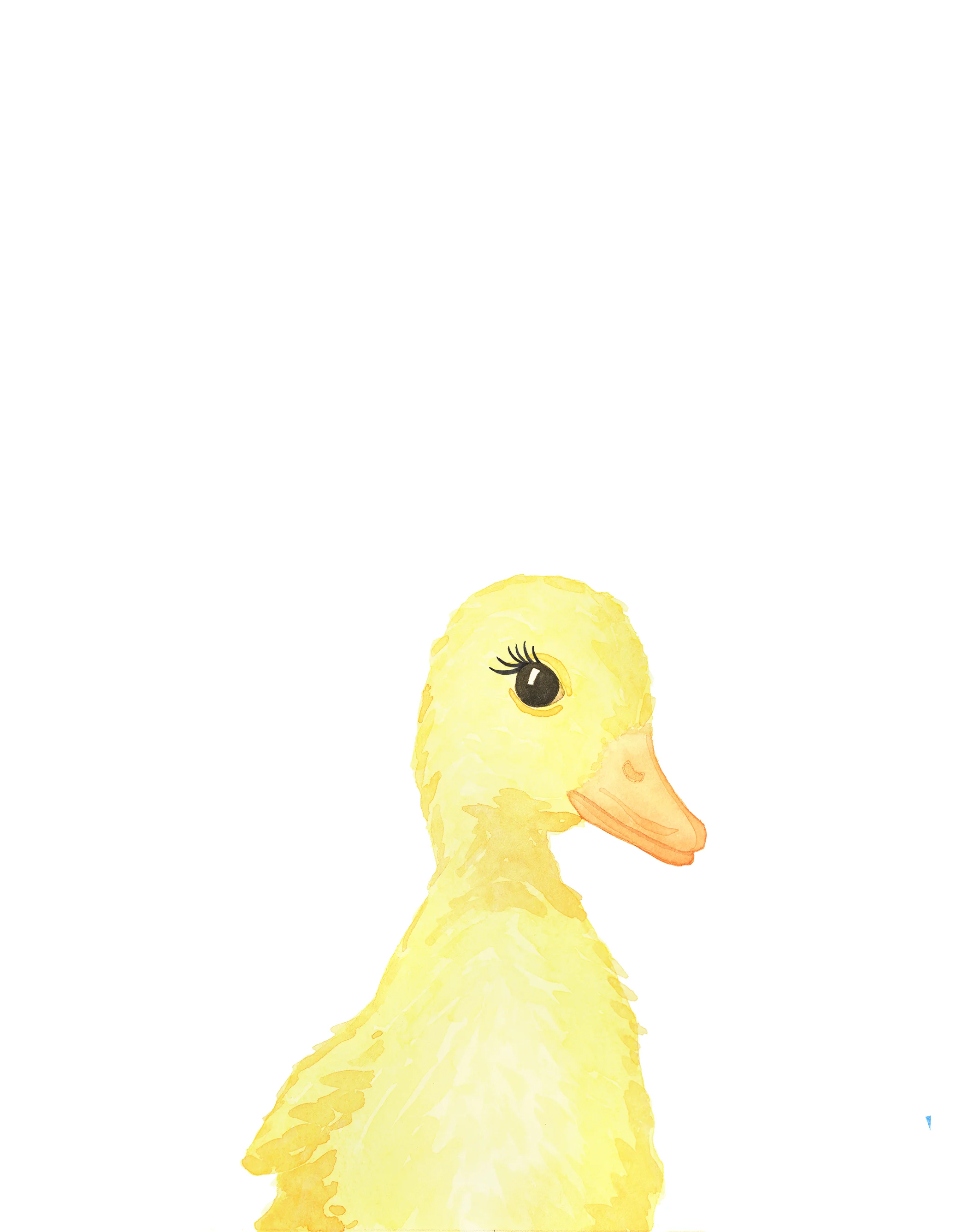 Duck - small.jpg