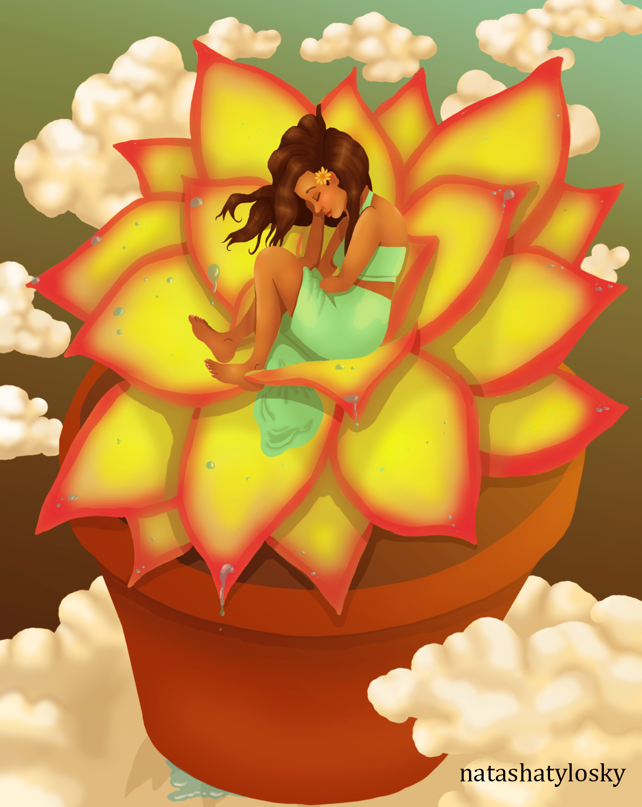 succulent sleep clouds.png