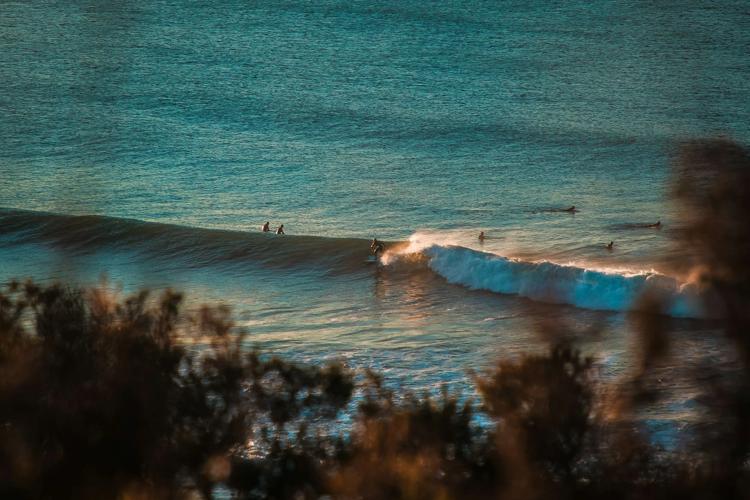 Image of surfers on waves. The photo has been taken from a distance and there are branches and leaves framing the lower part of the picture