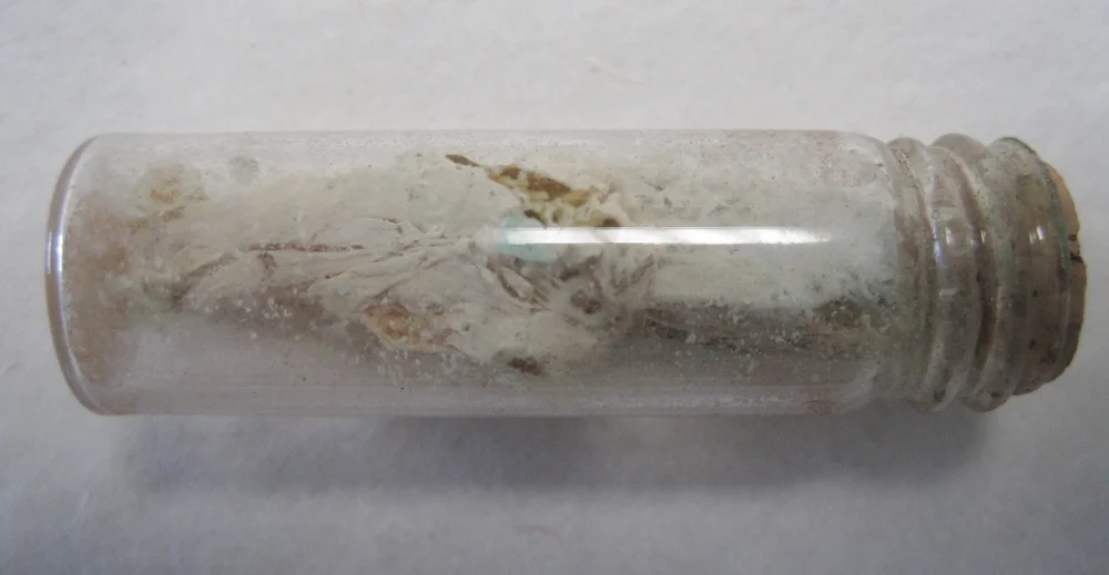 Spermaceti — Worcester Medical Museums