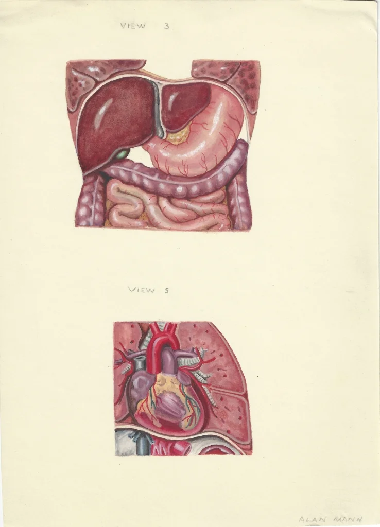 E0256-03.jpg