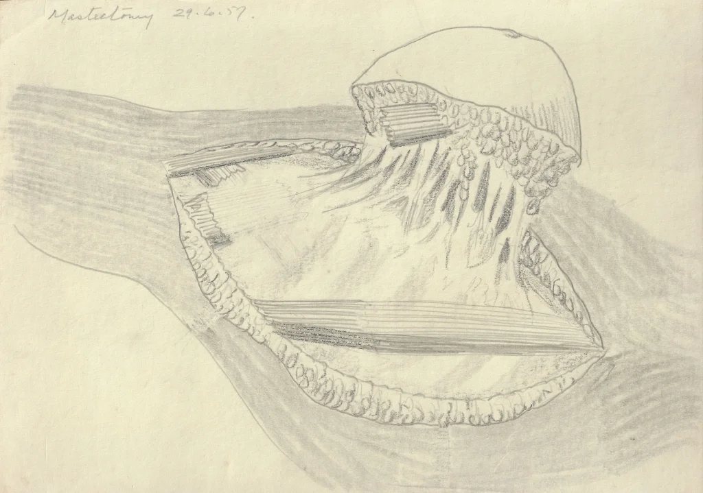 E0256-24.jpg