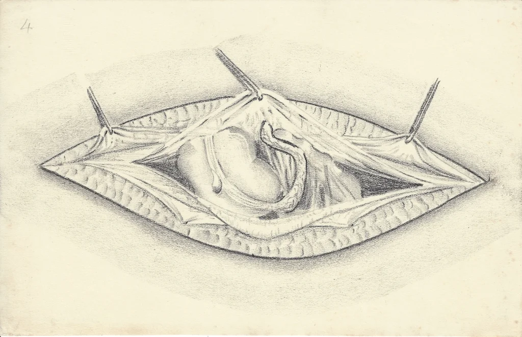 E0256-27.jpg