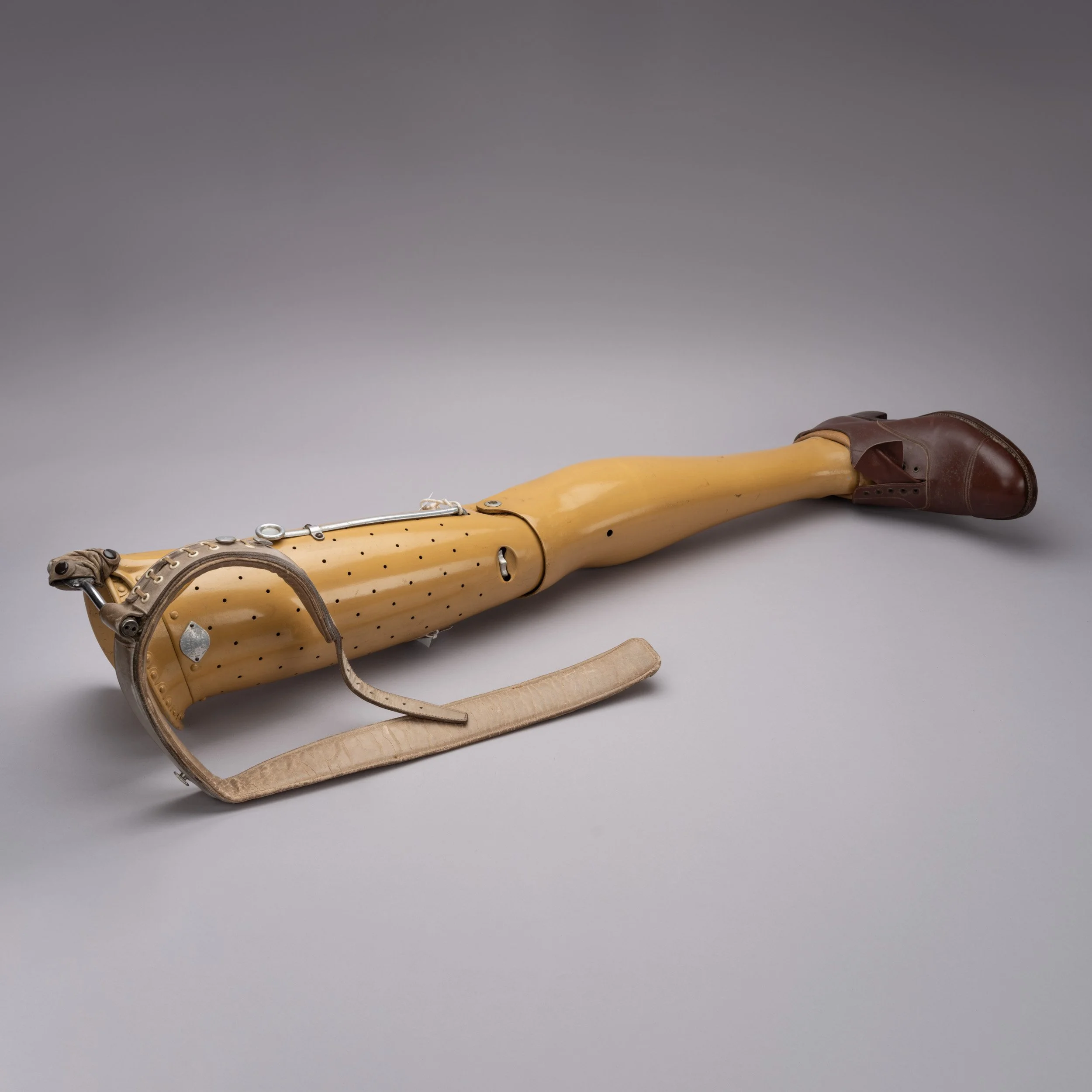 Discovering Disability - prosthetic leg — Worcester Medical Museums