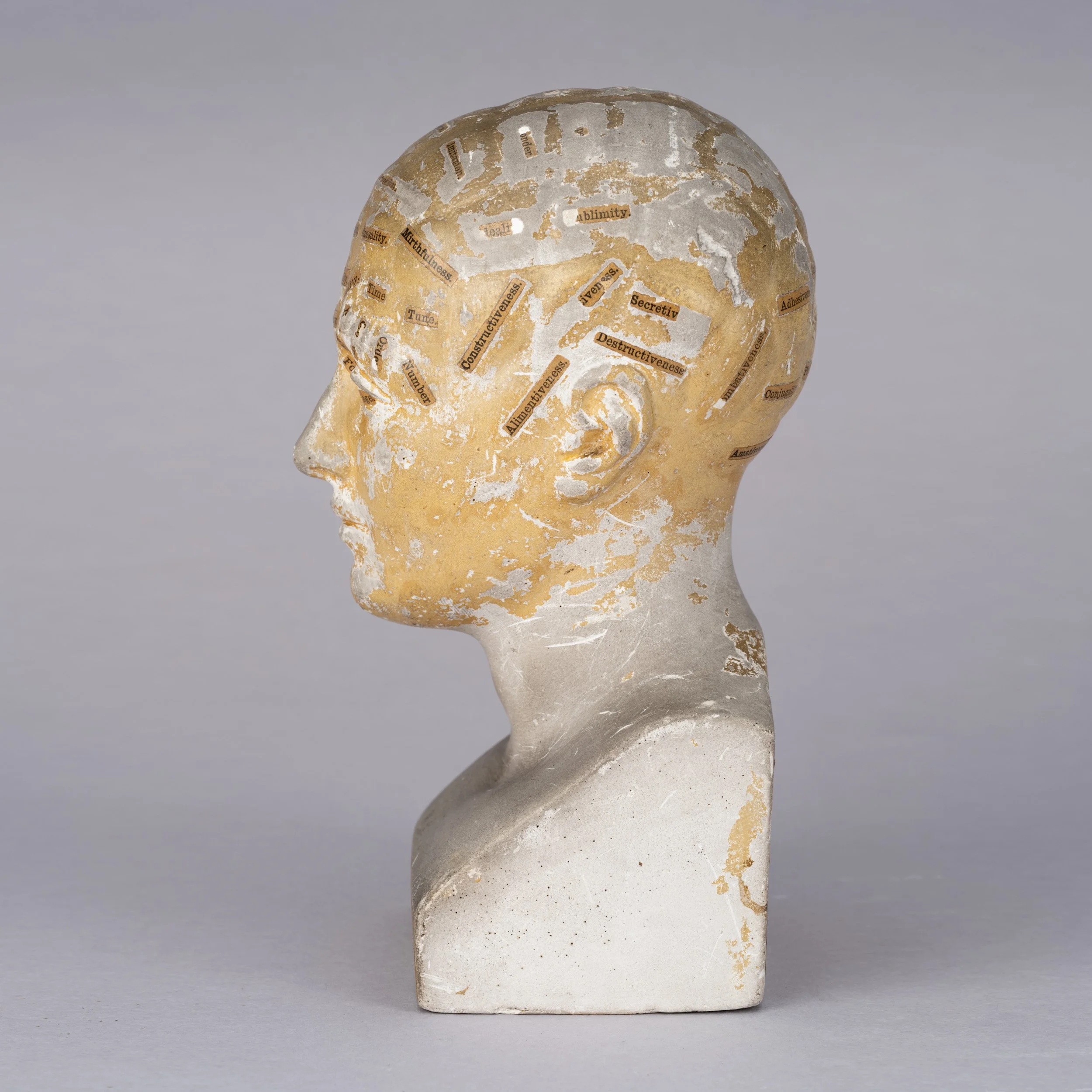 Phrenology Head 2.jpg