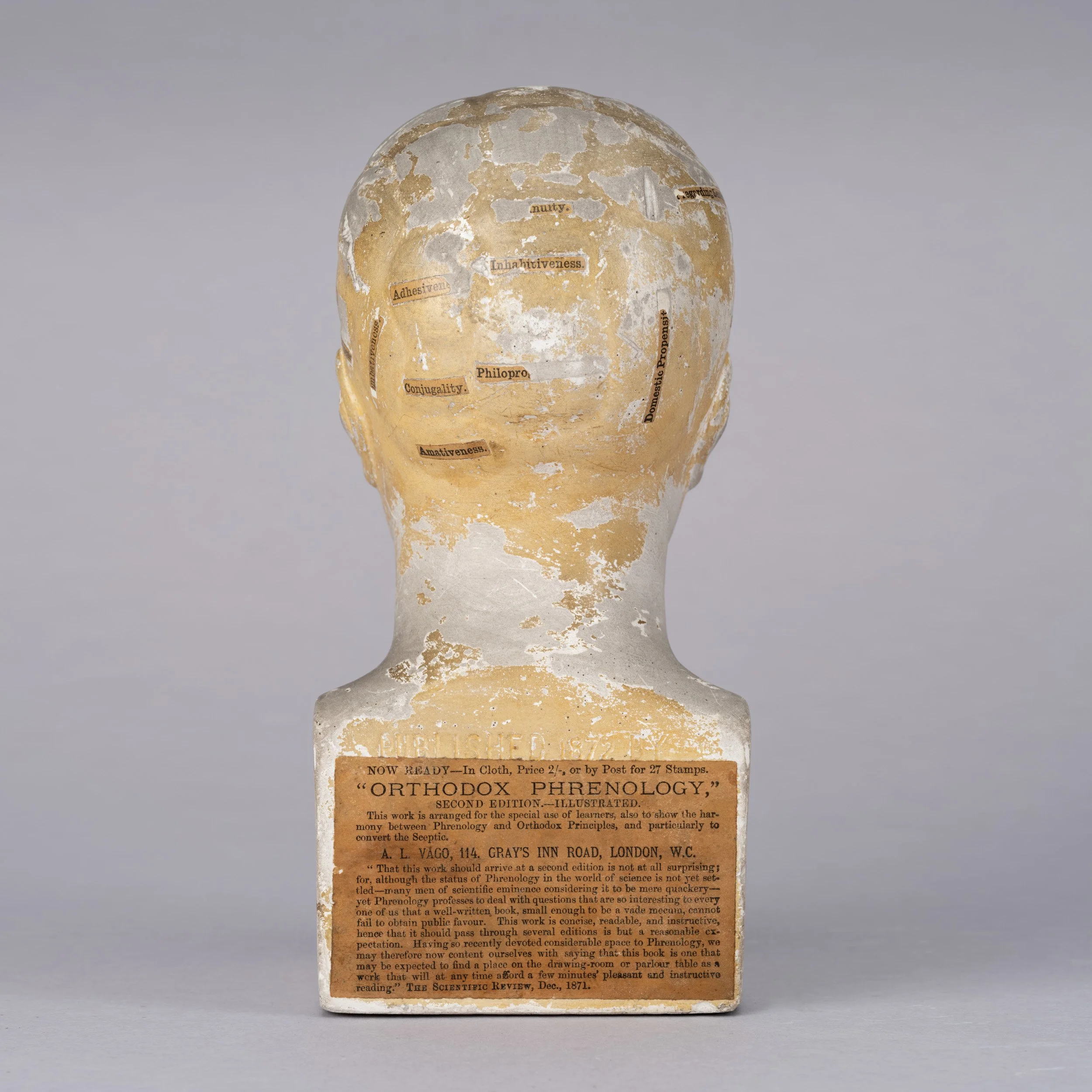 Phrenology Head 3.jpg