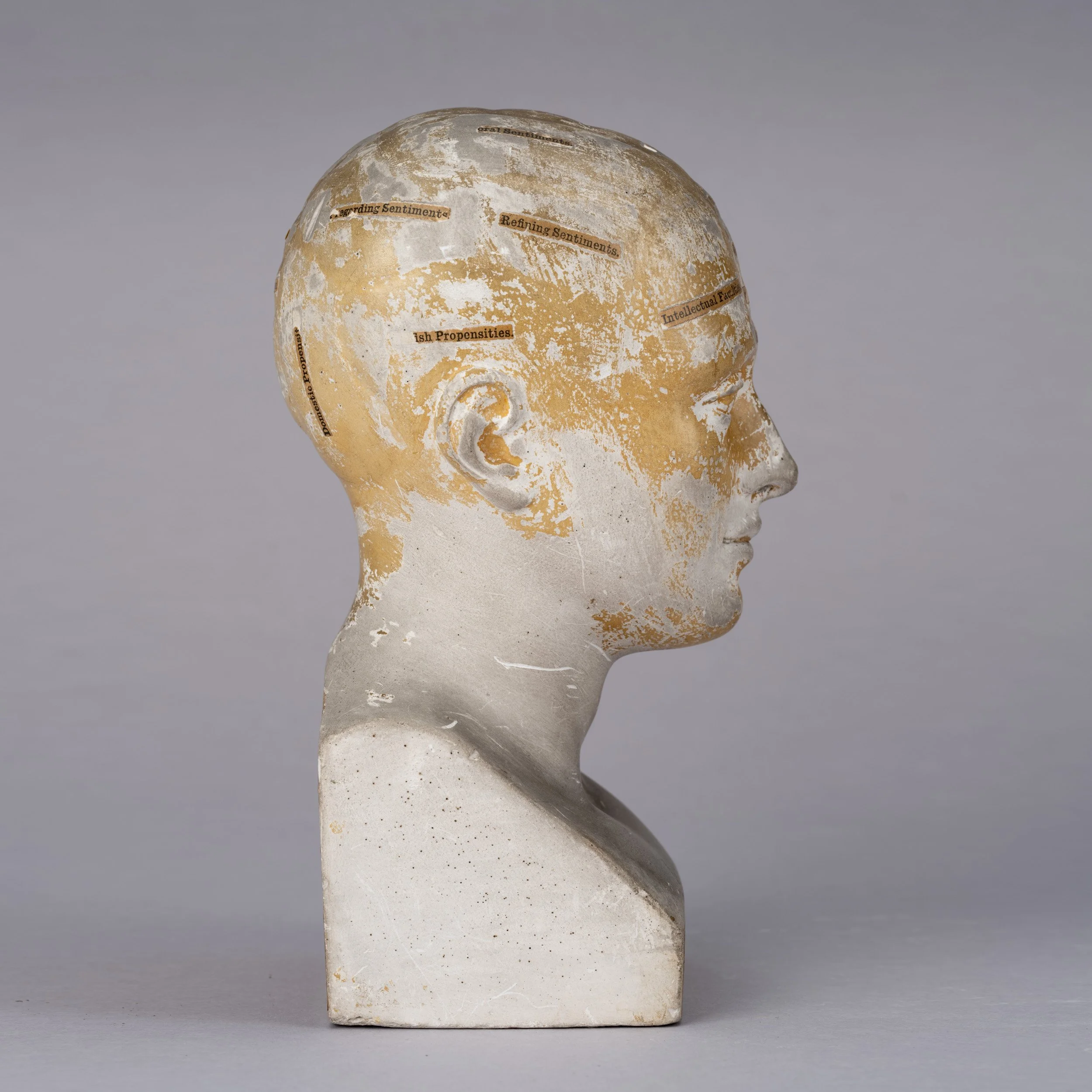Phrenology Head 4.jpg