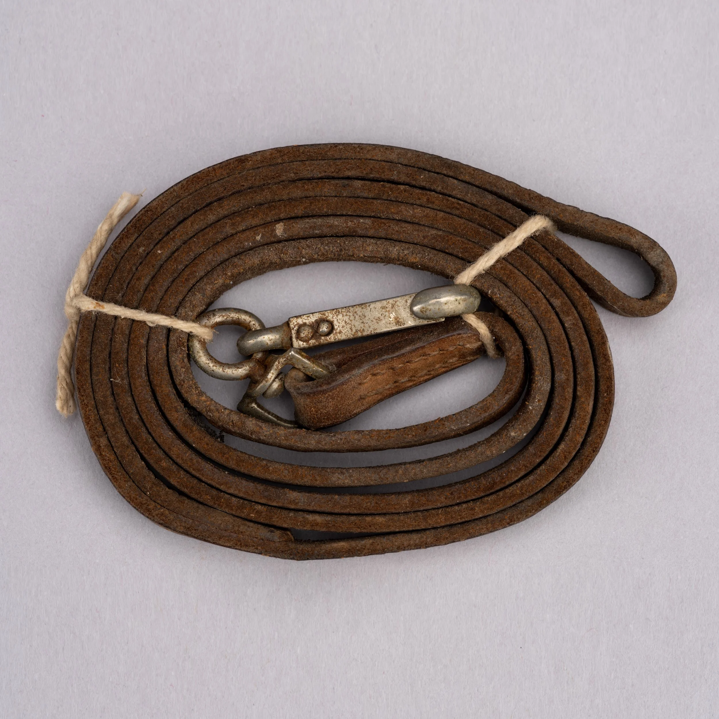 Restraint Straps (2).jpg