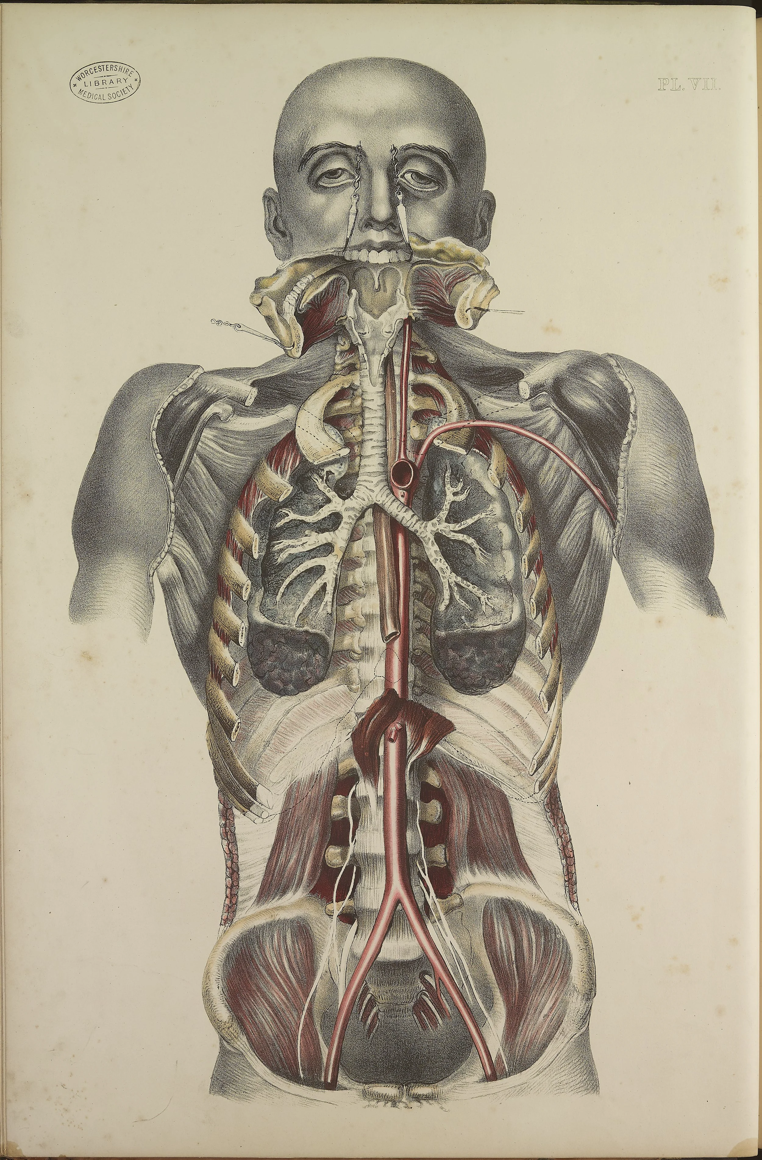 RM0162_23.jpg