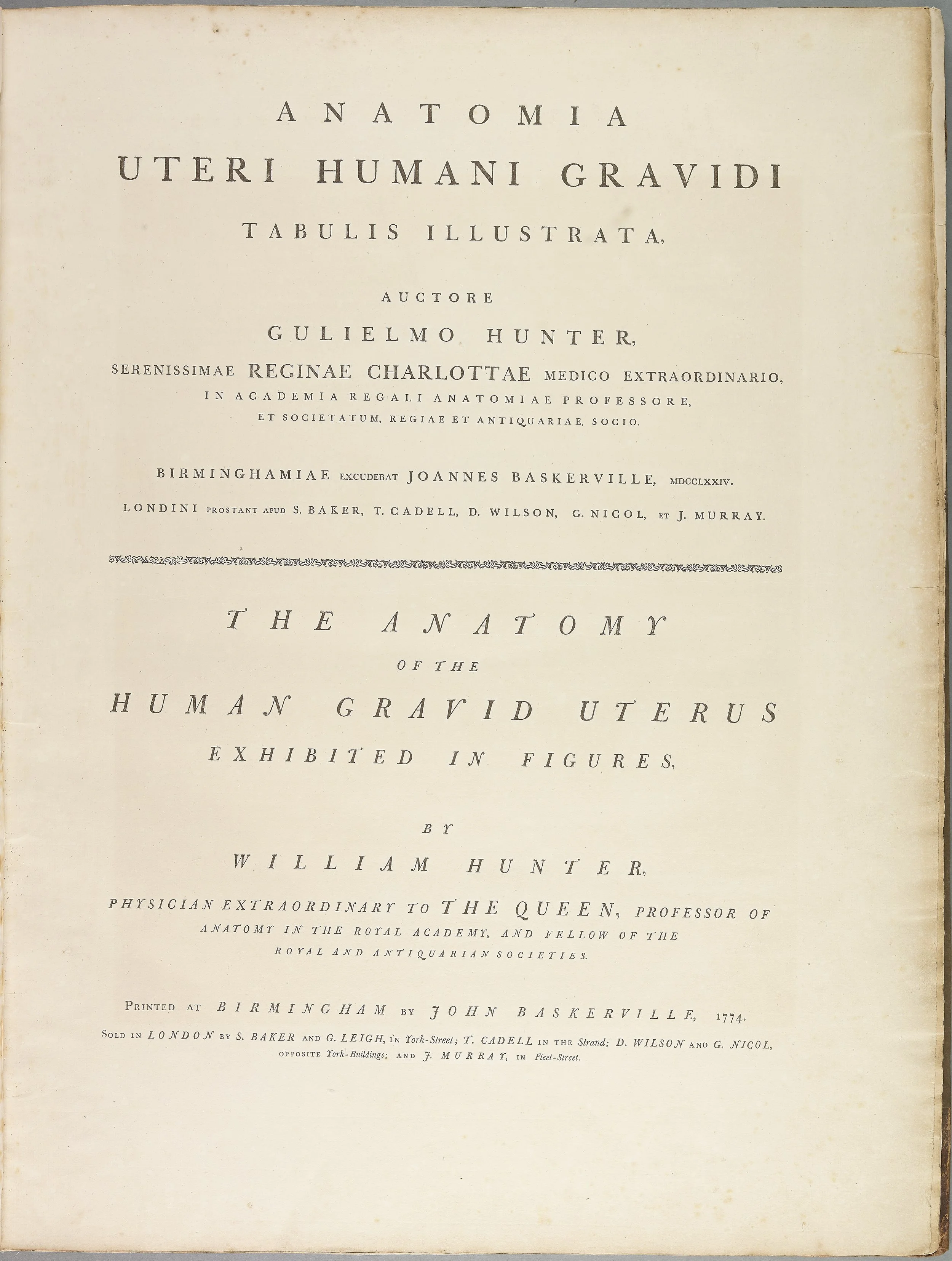 The Anatomy of the Human Gravid Uterus by William Hunter