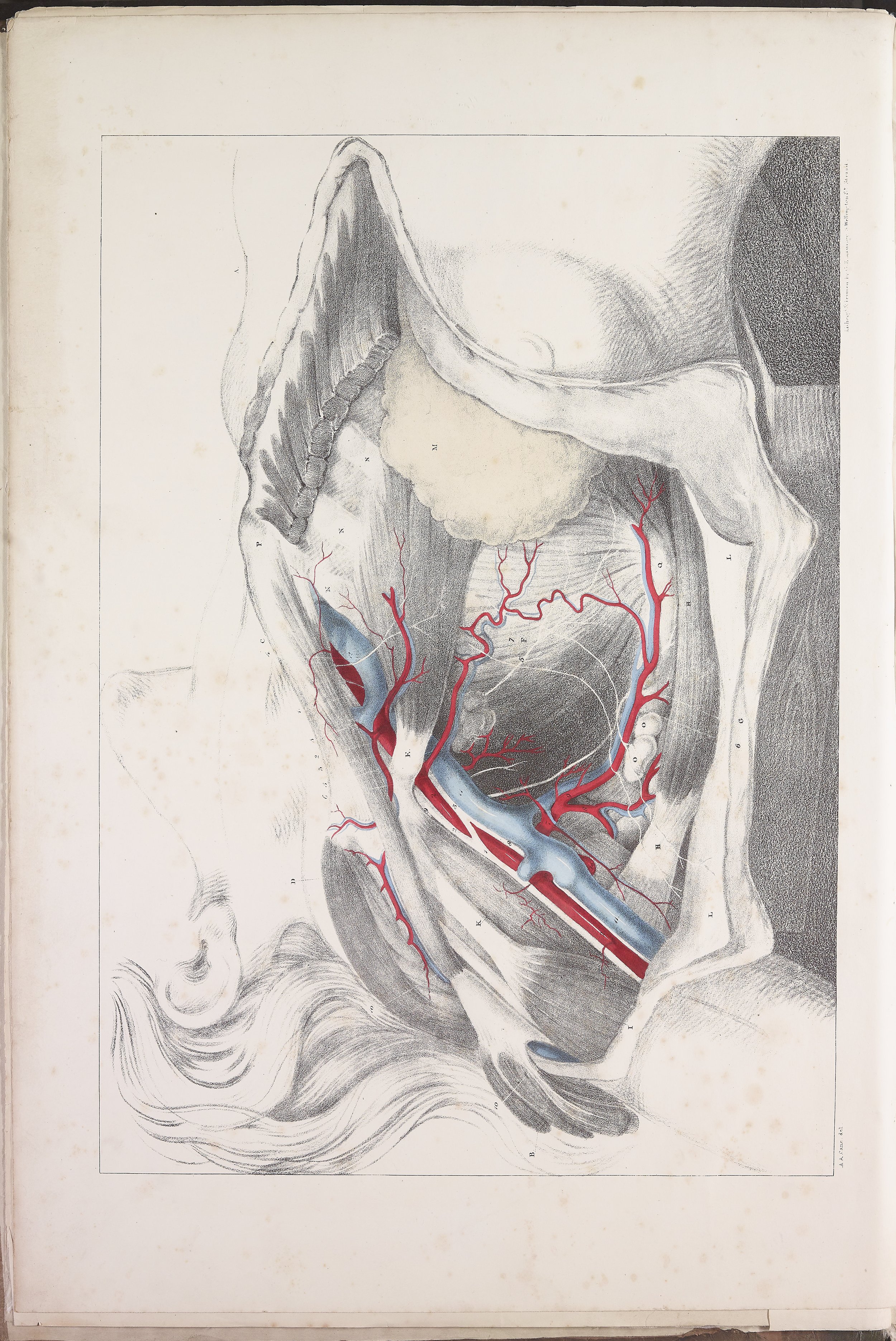 RM0160_06.jpg