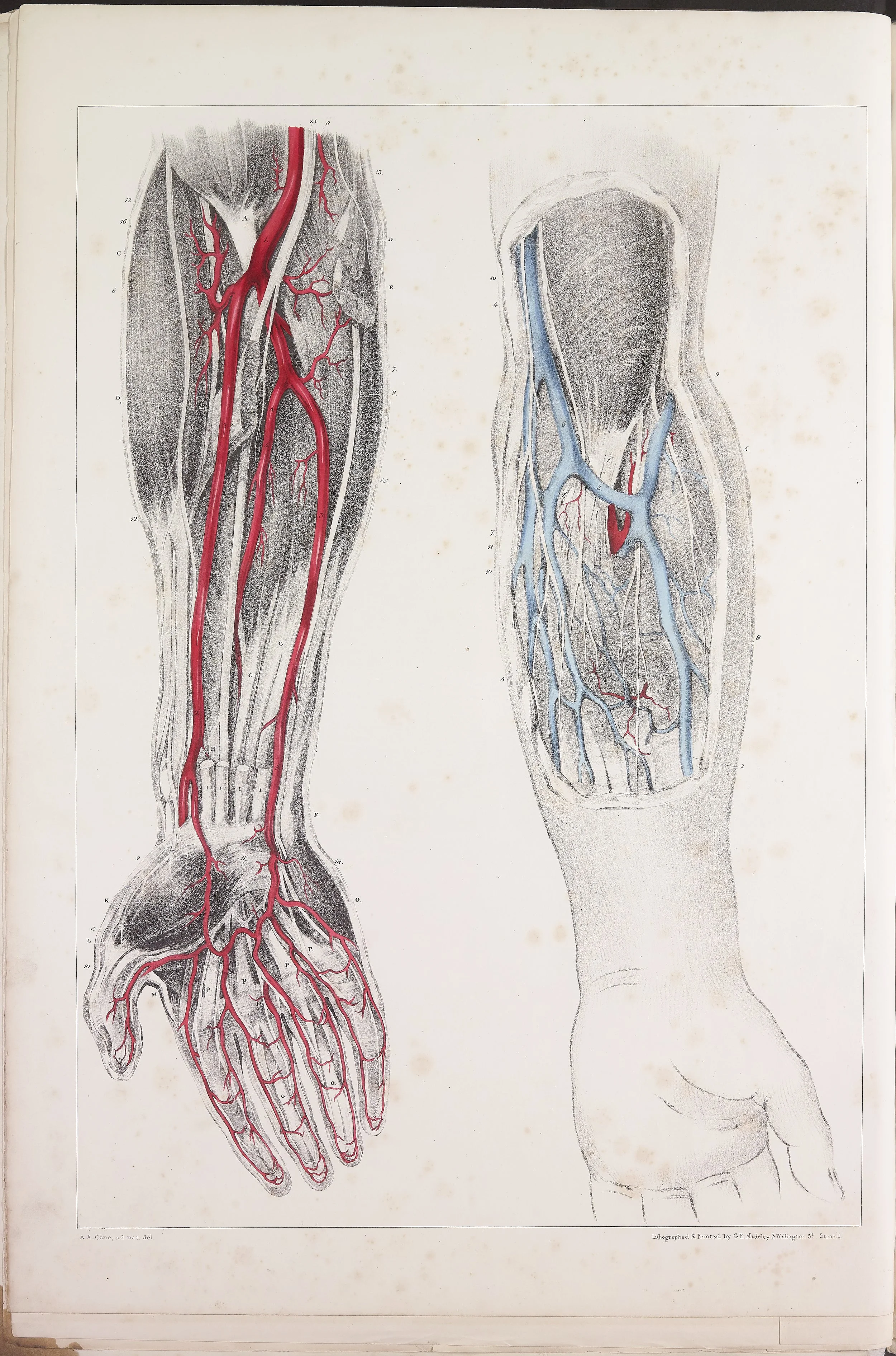 RM0160_15.jpg