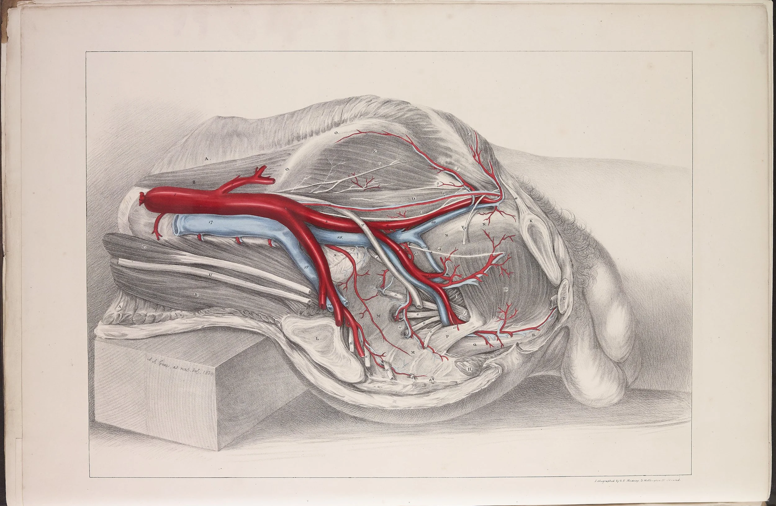 RM0160_21.jpg