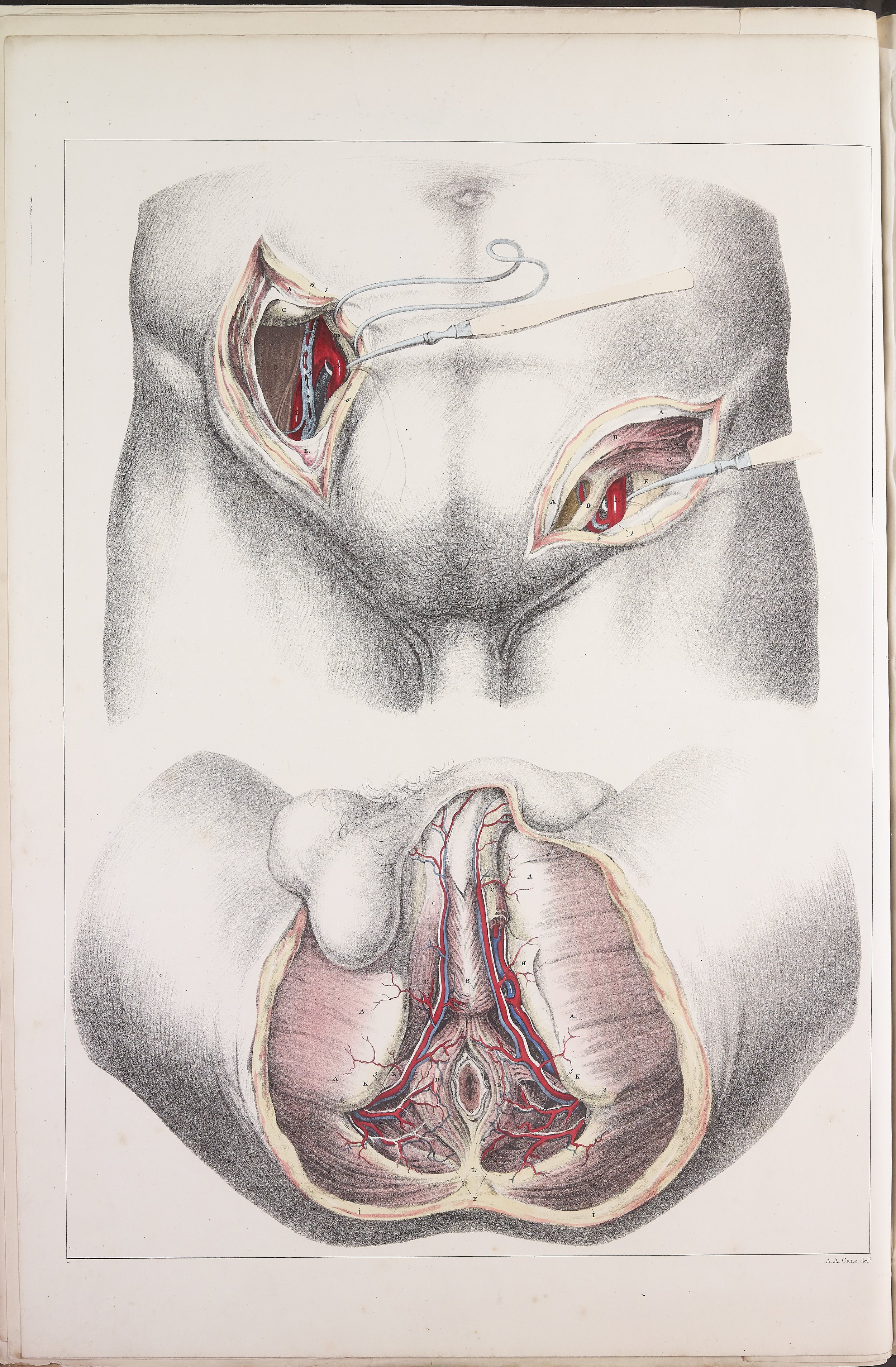 RM0160_24.jpg