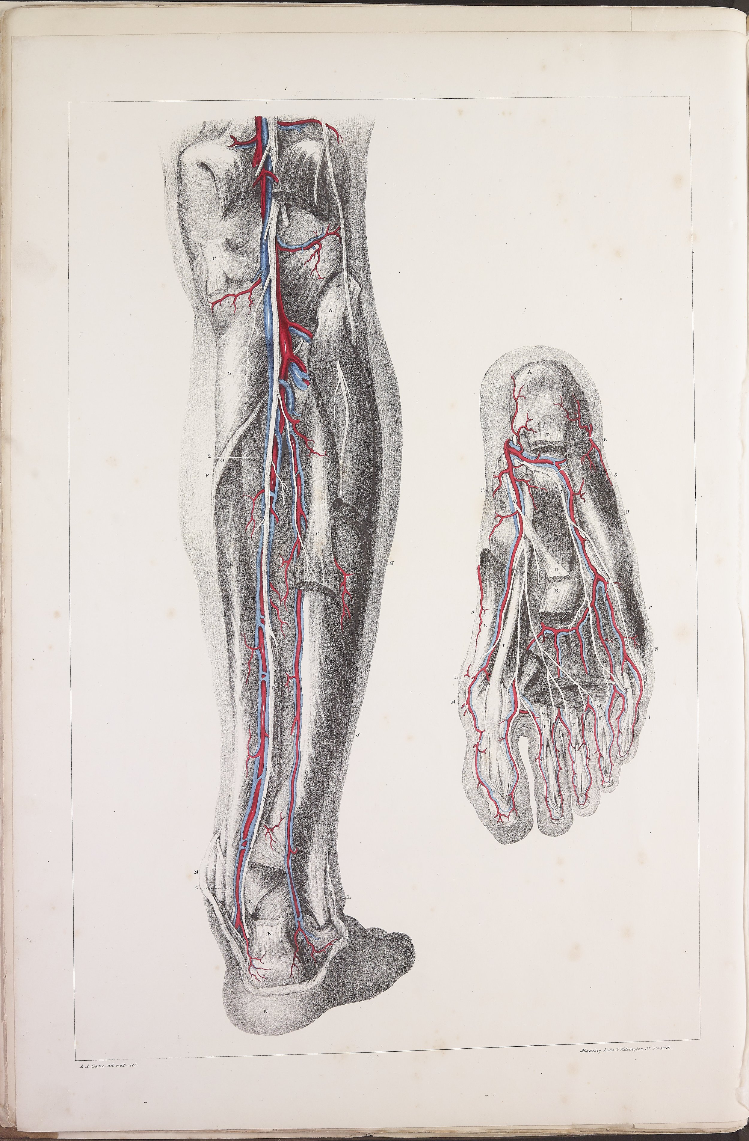 RM0160_33.jpg