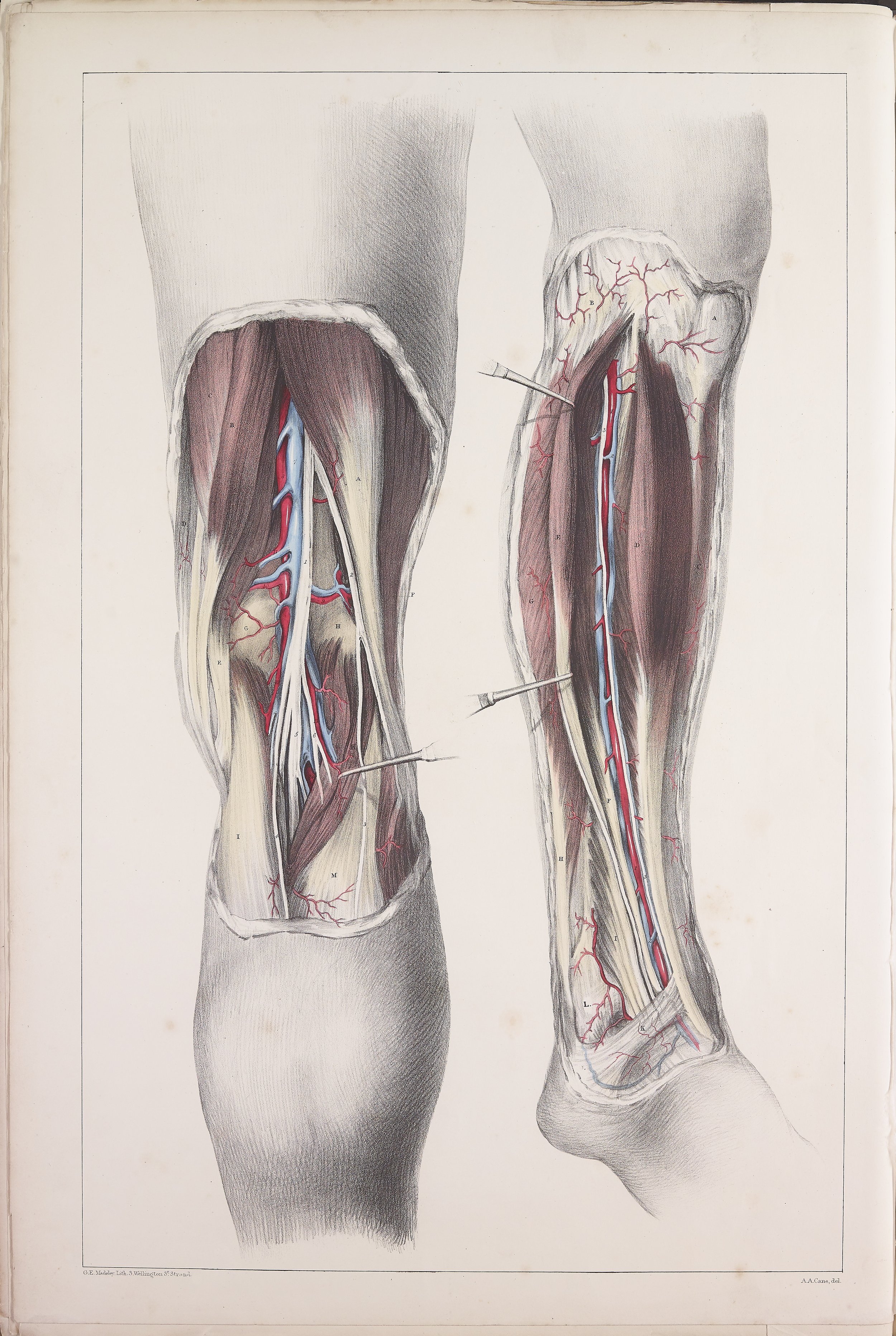 RM0160_30.jpg