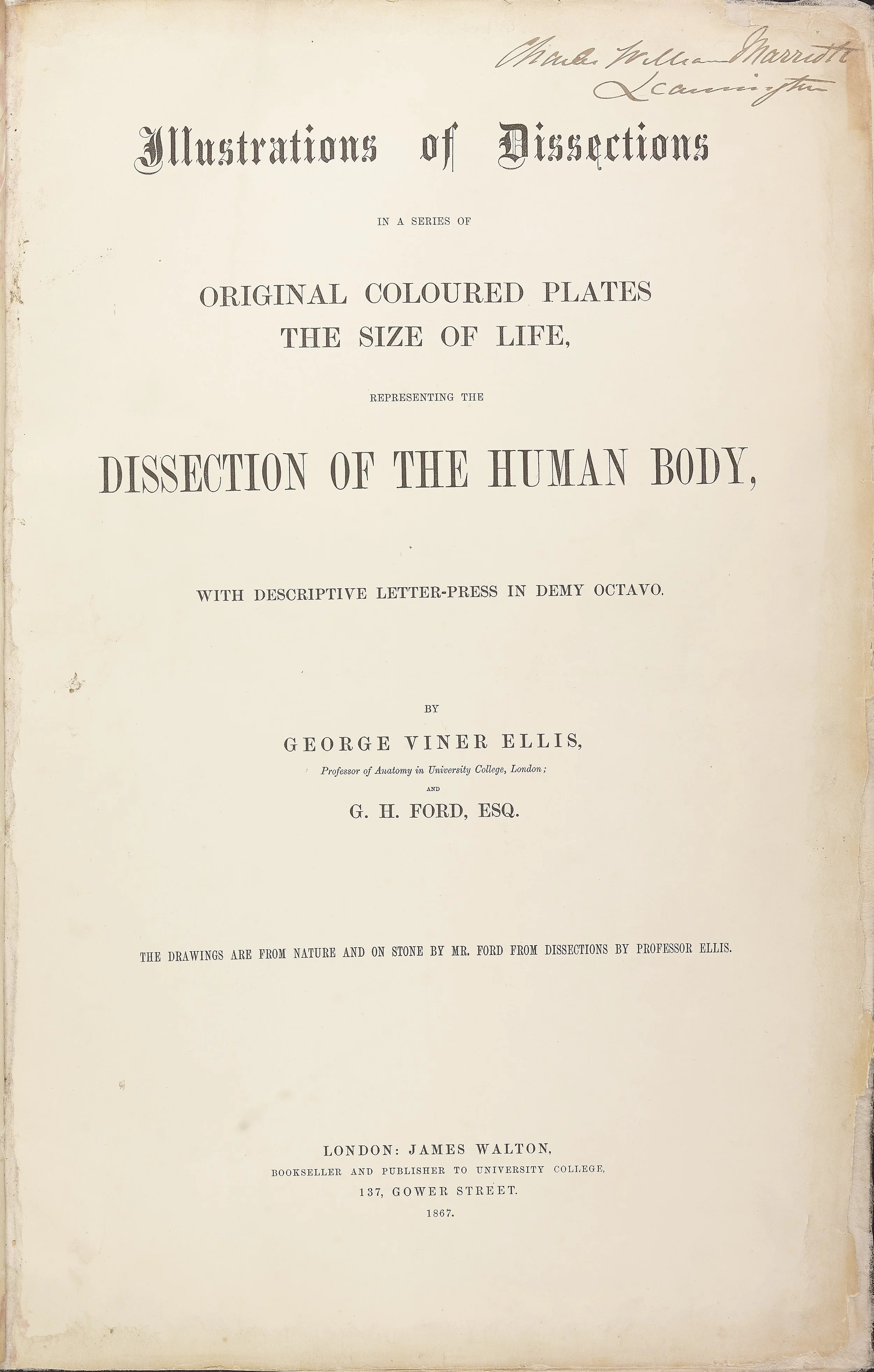 RM0161_001.jpg
