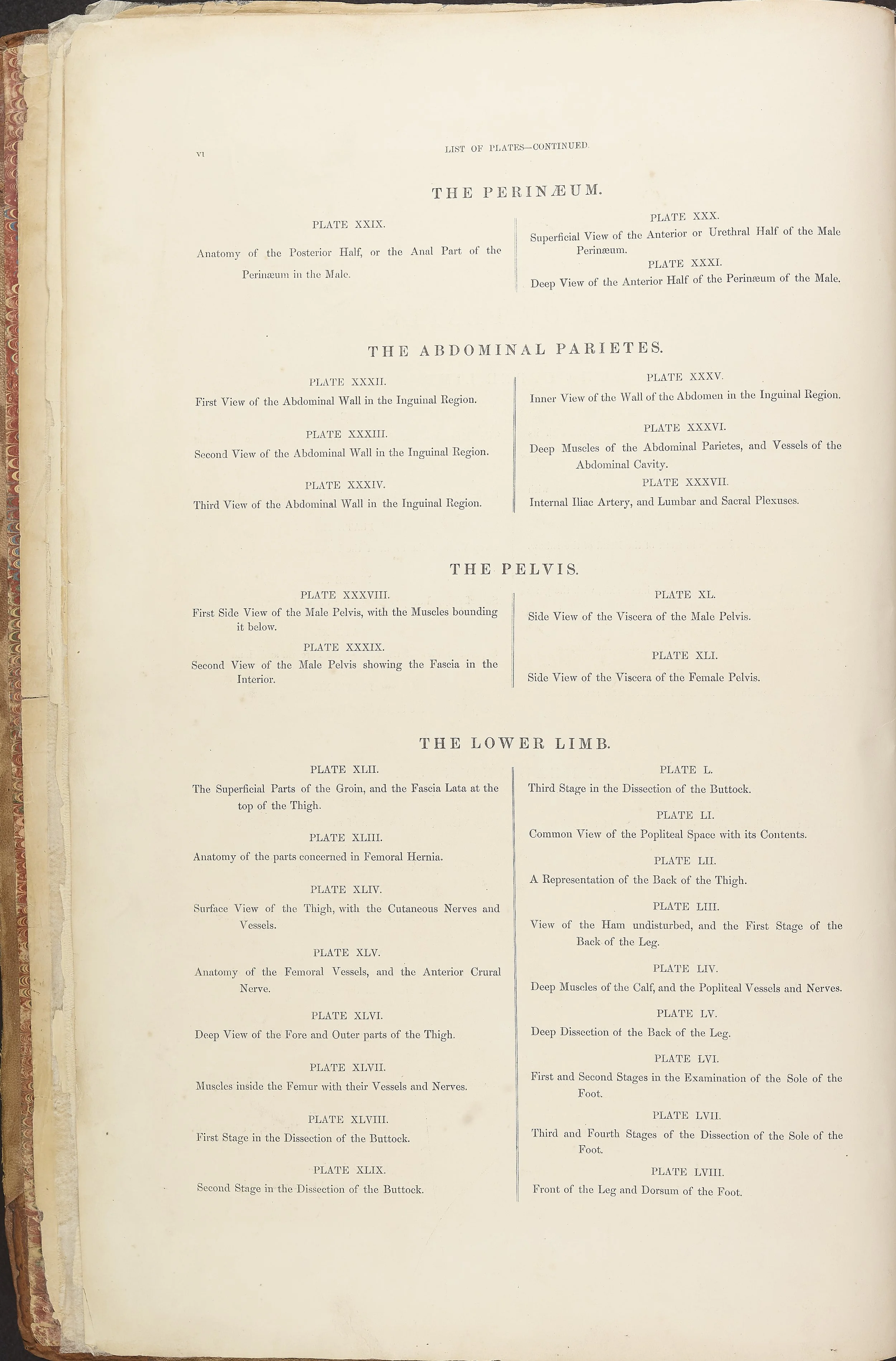 RM0161_004a.jpg