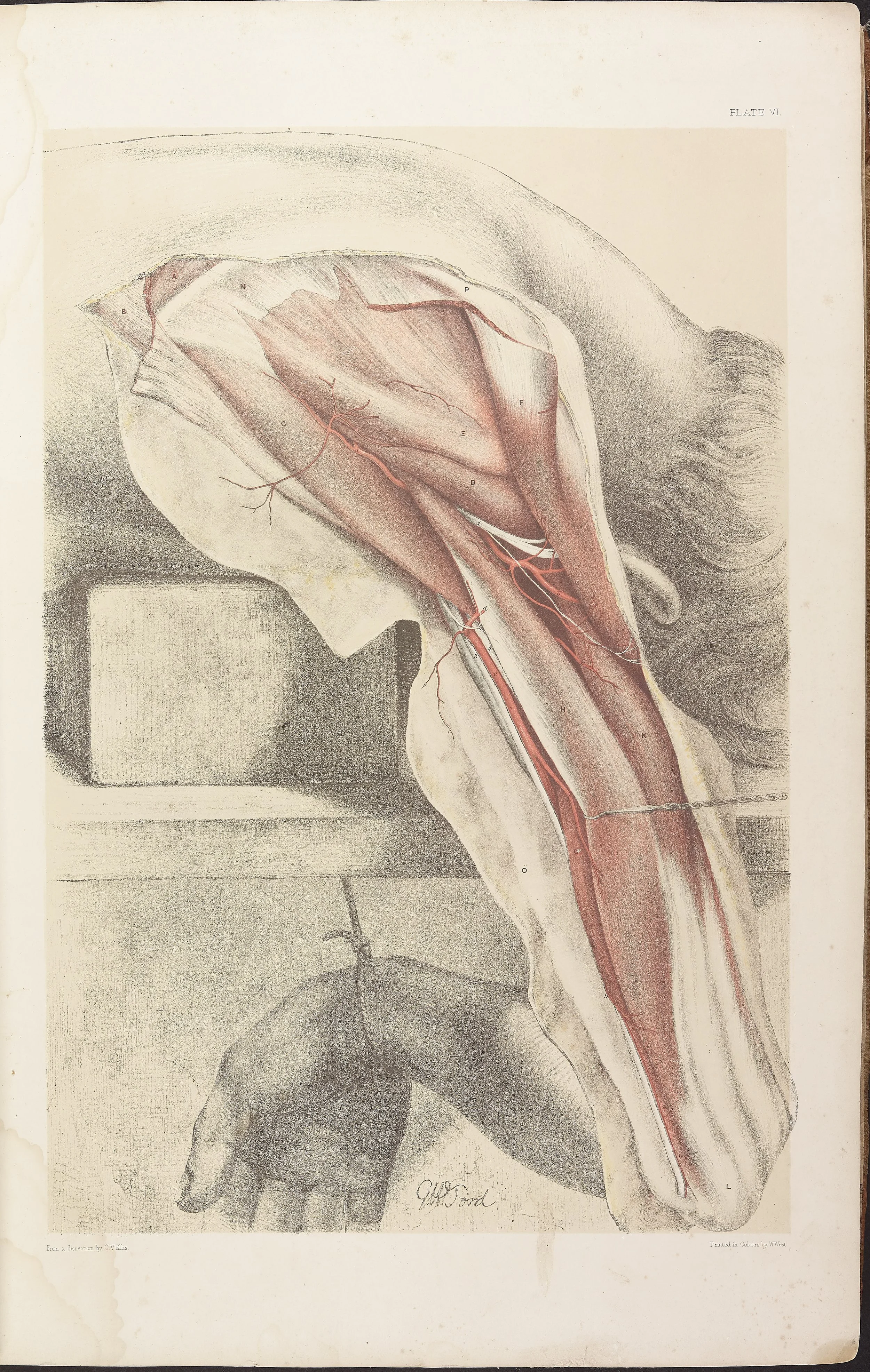 RM0161_008.jpg