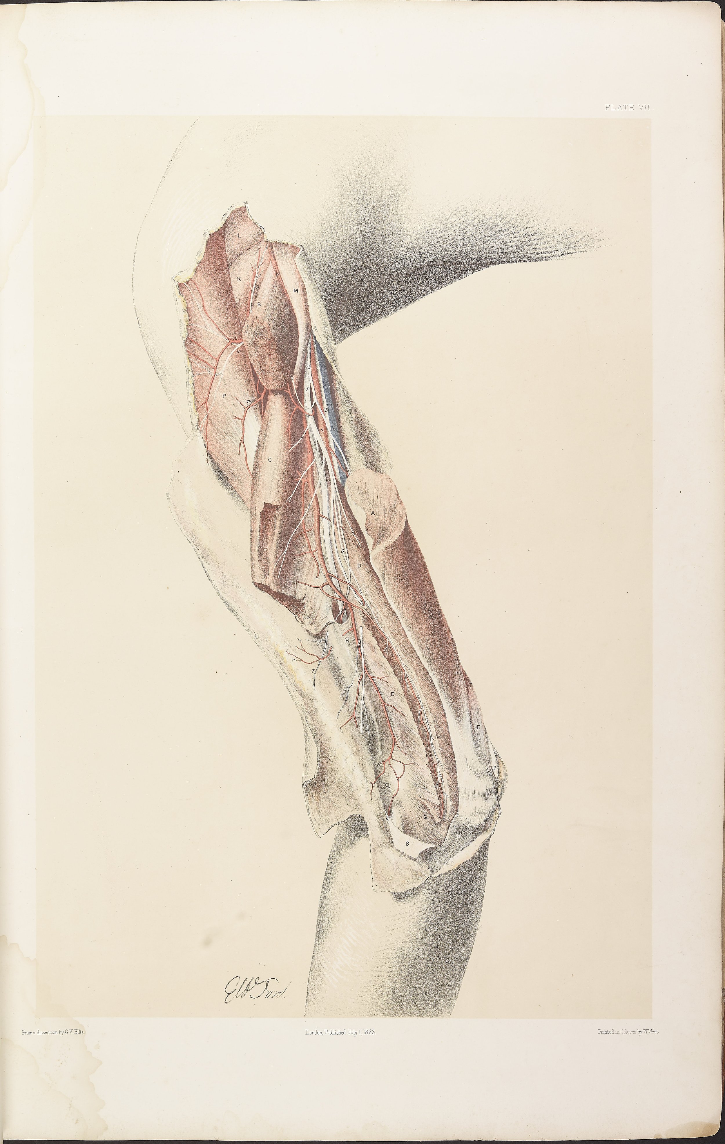 RM0161_009.jpg