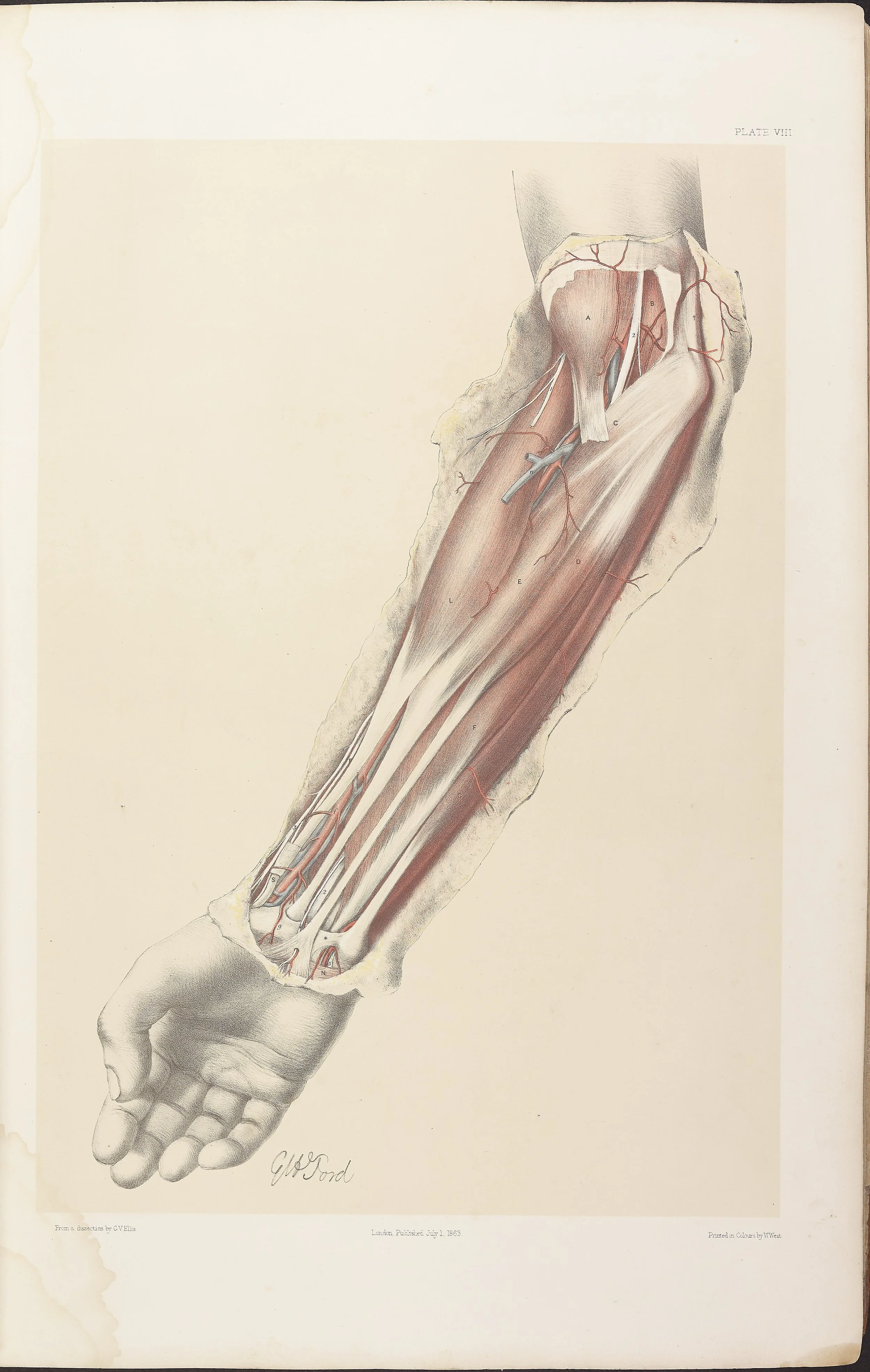 RM0161_010.jpg
