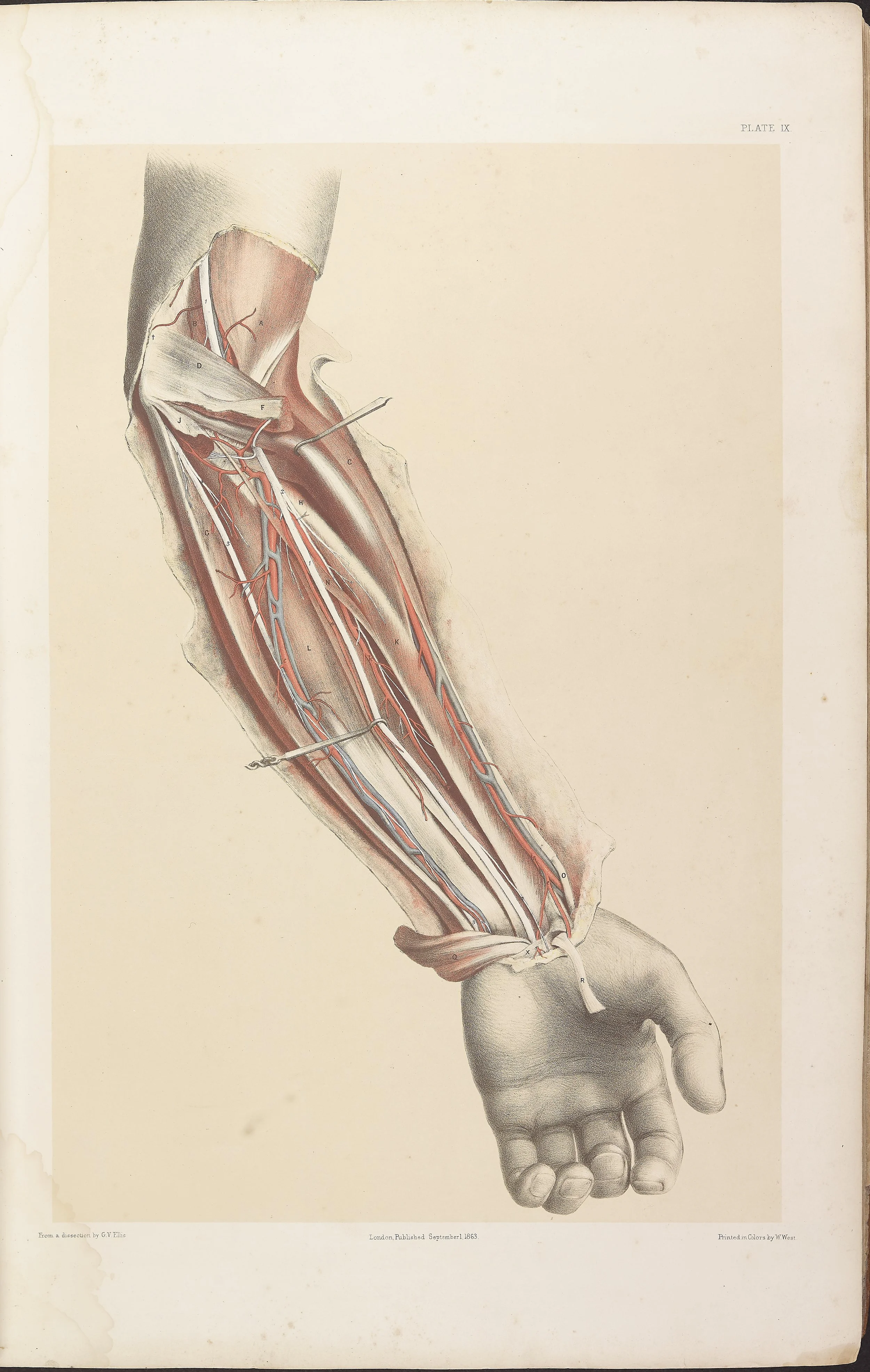 RM0161_011.jpg