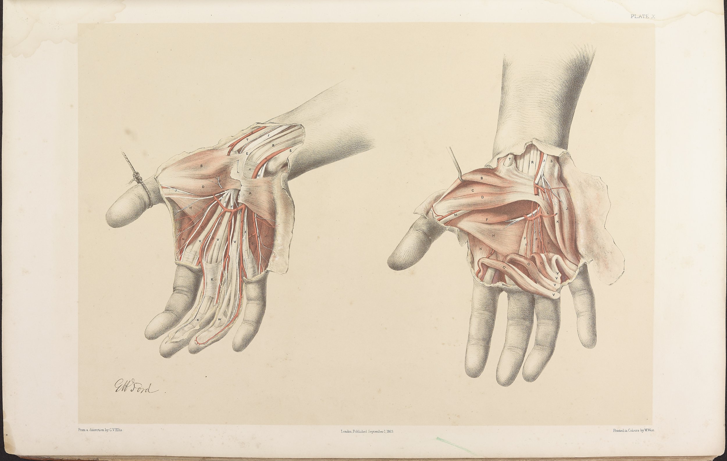 RM0161_012.jpg