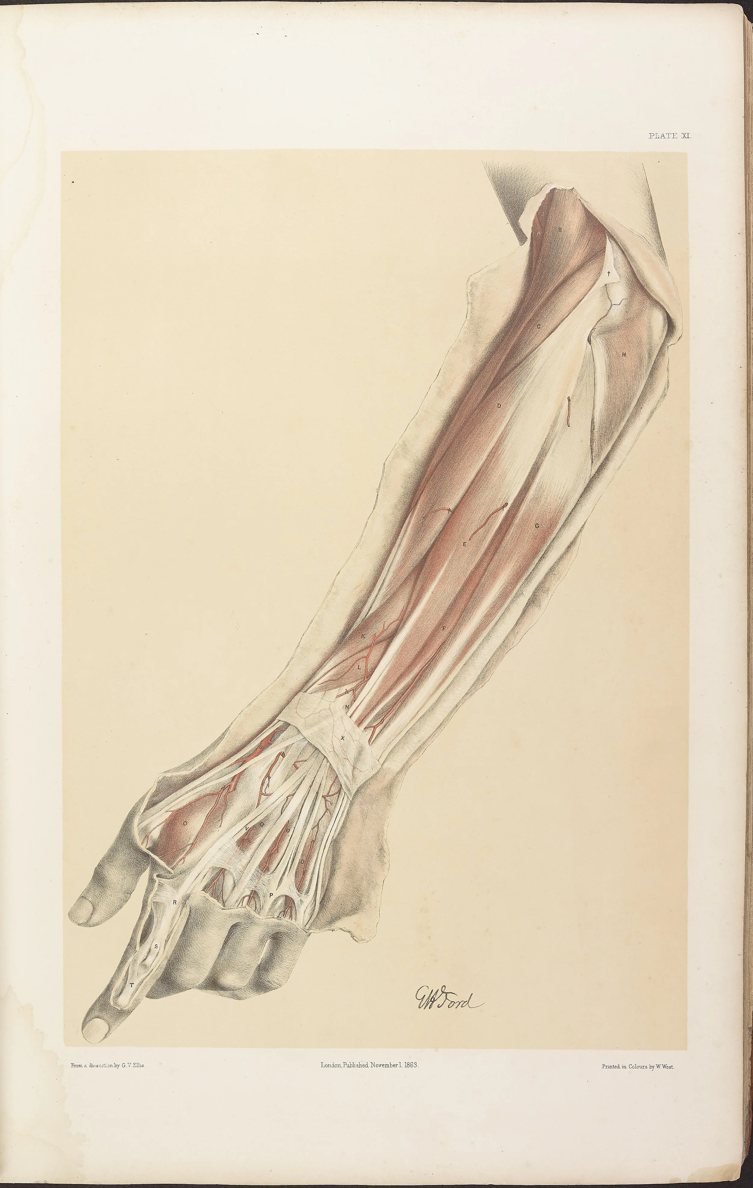 RM0161_013.jpg